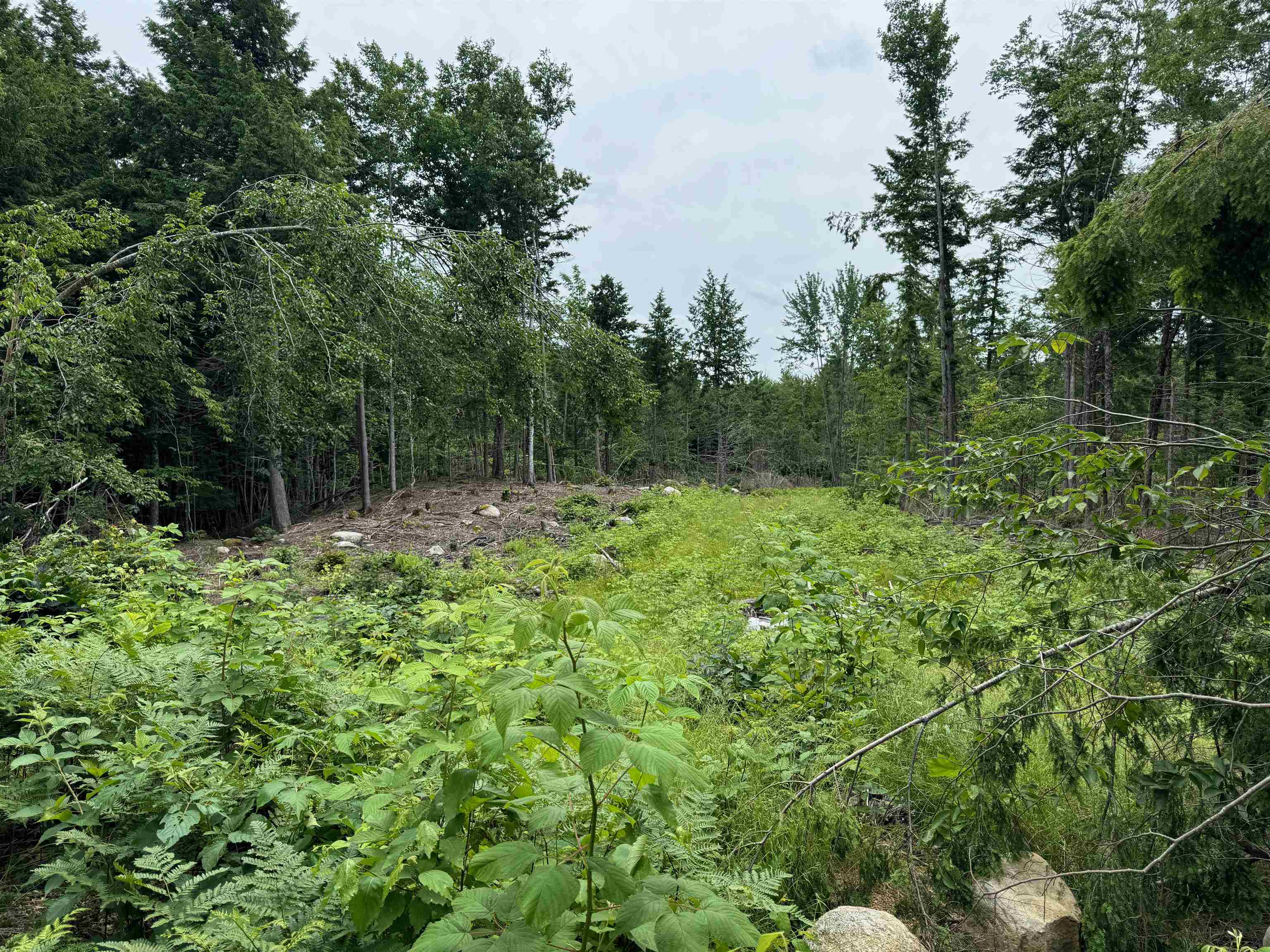 512 Deer Hill Road