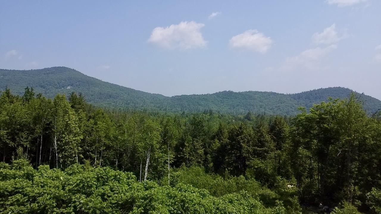 14 Mountain Ridge Road