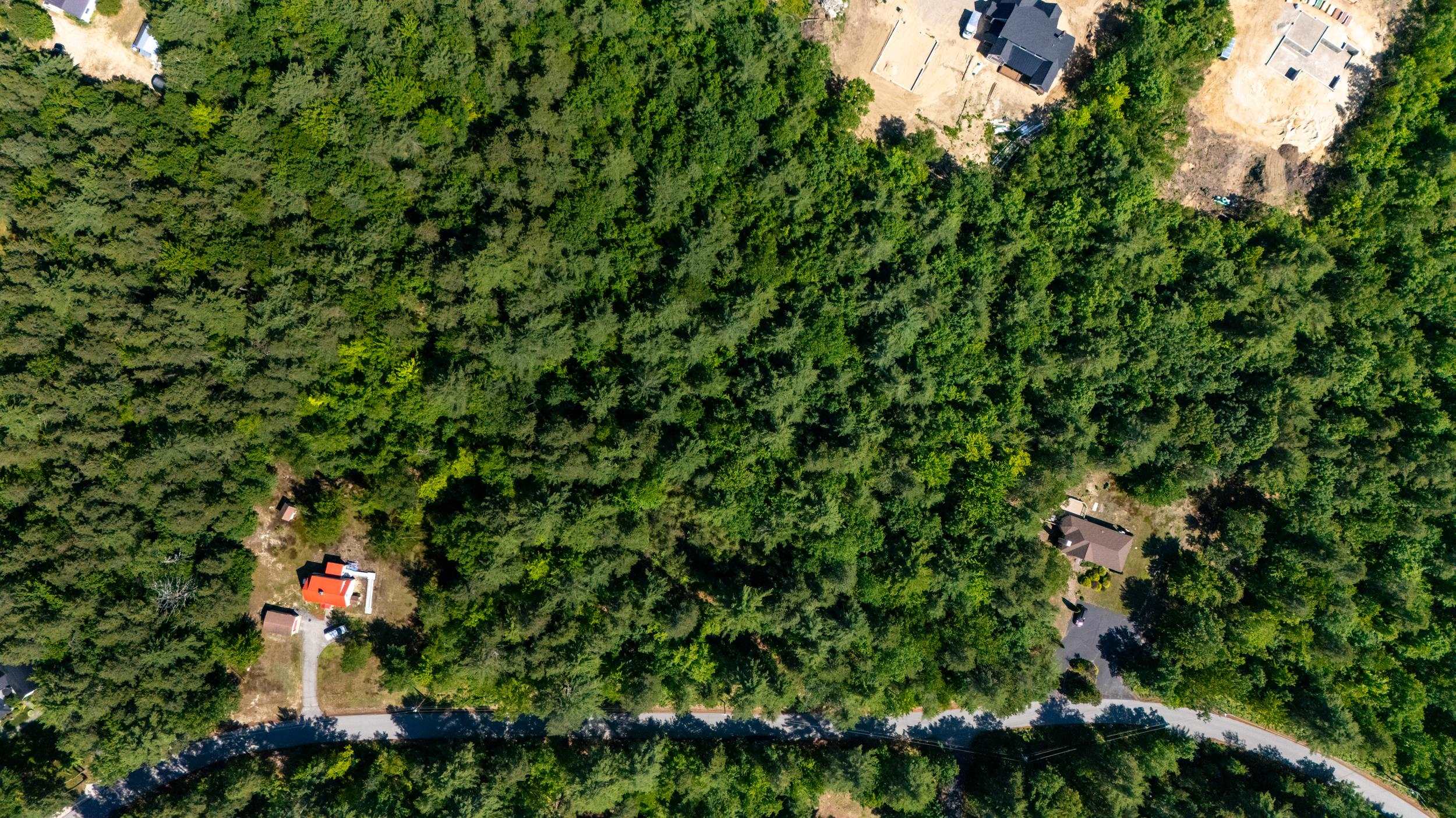 97 Ridge Road Unit: 1