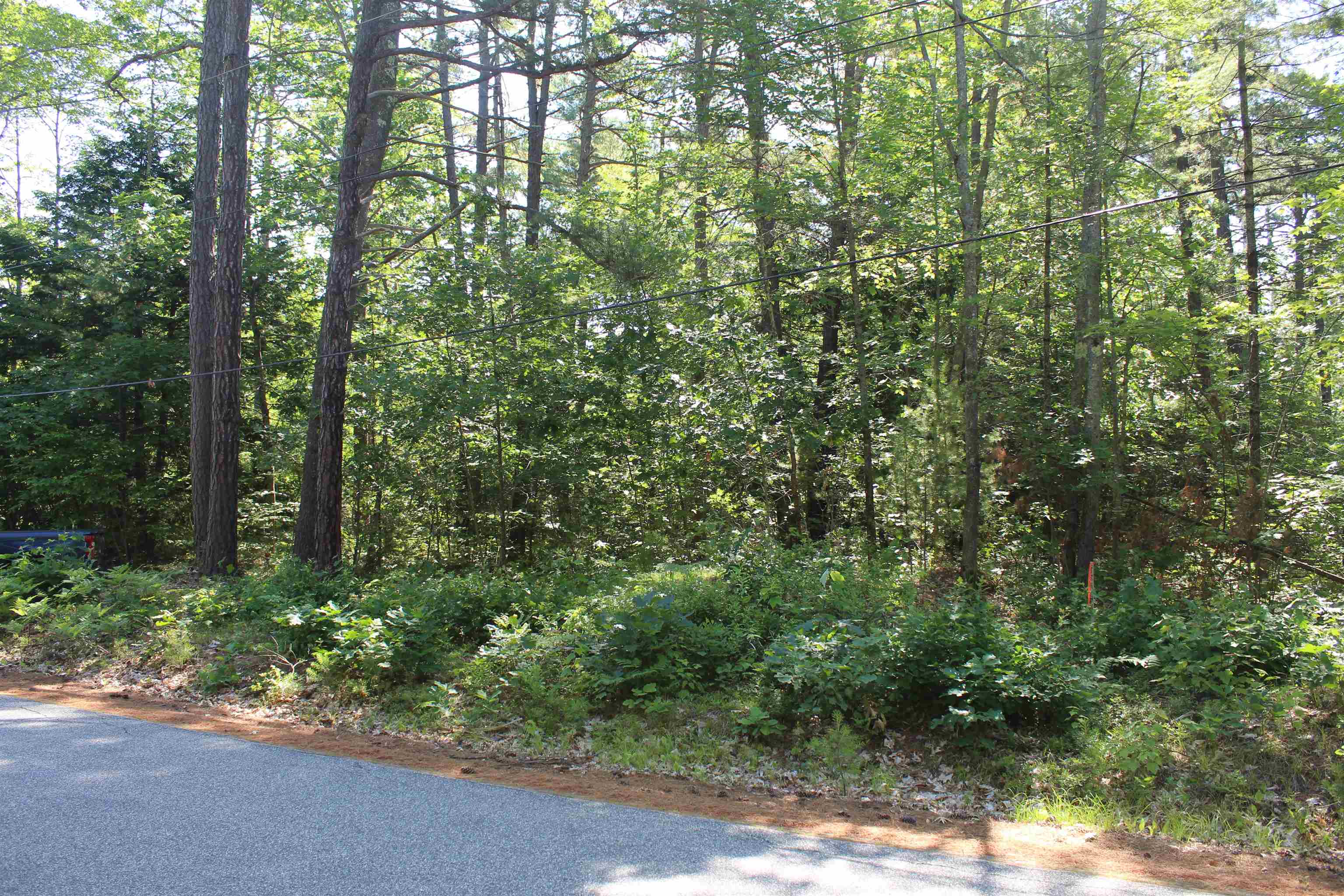 97 Ridge Road Unit: 1