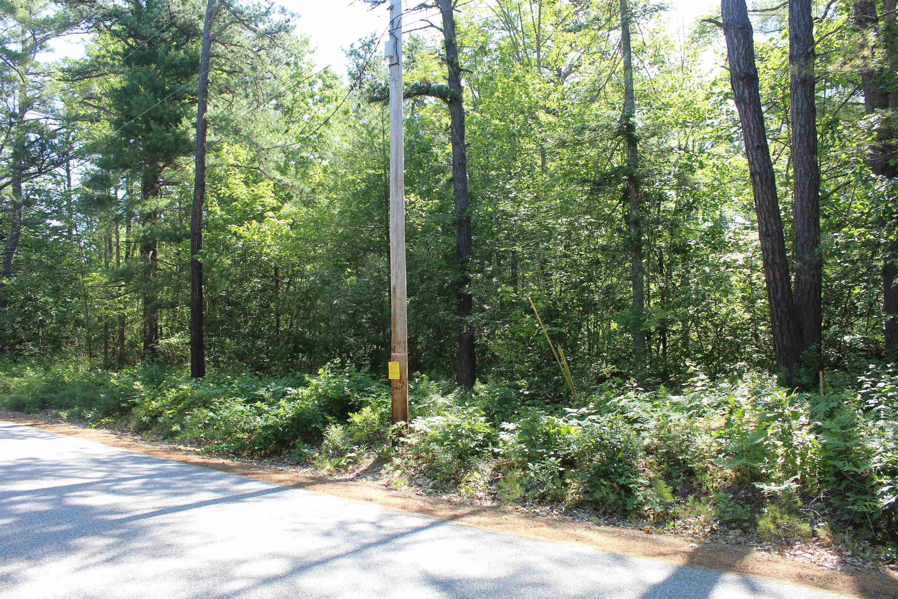 97 Ridge Road Unit: 2