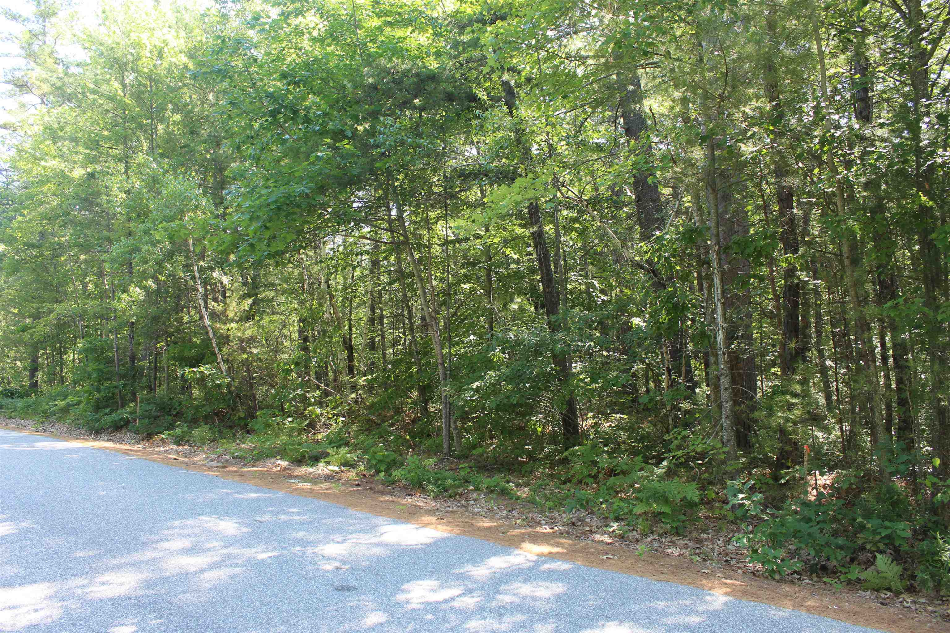 97 Ridge Road Unit: 4