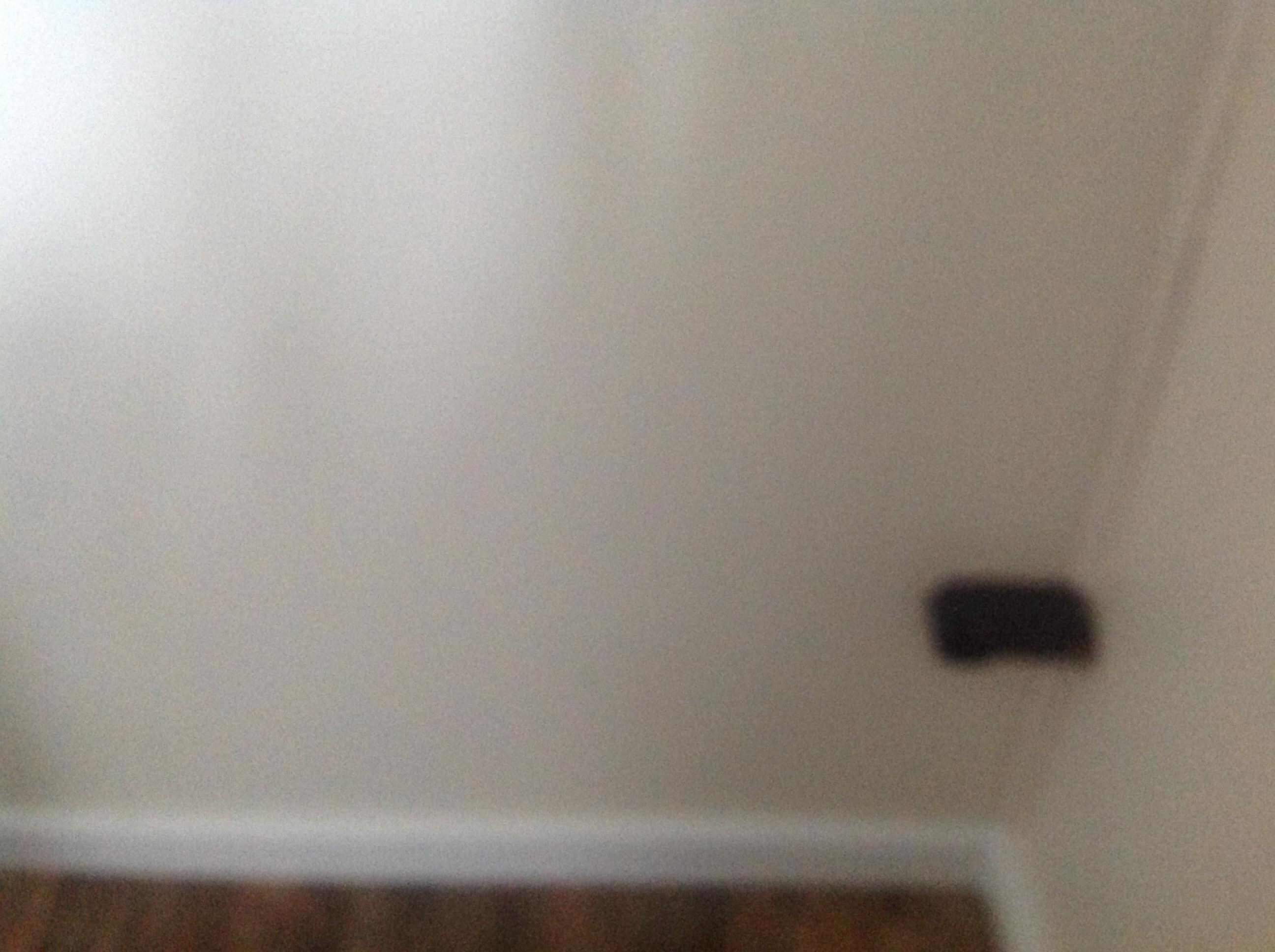 36 Shady Lane