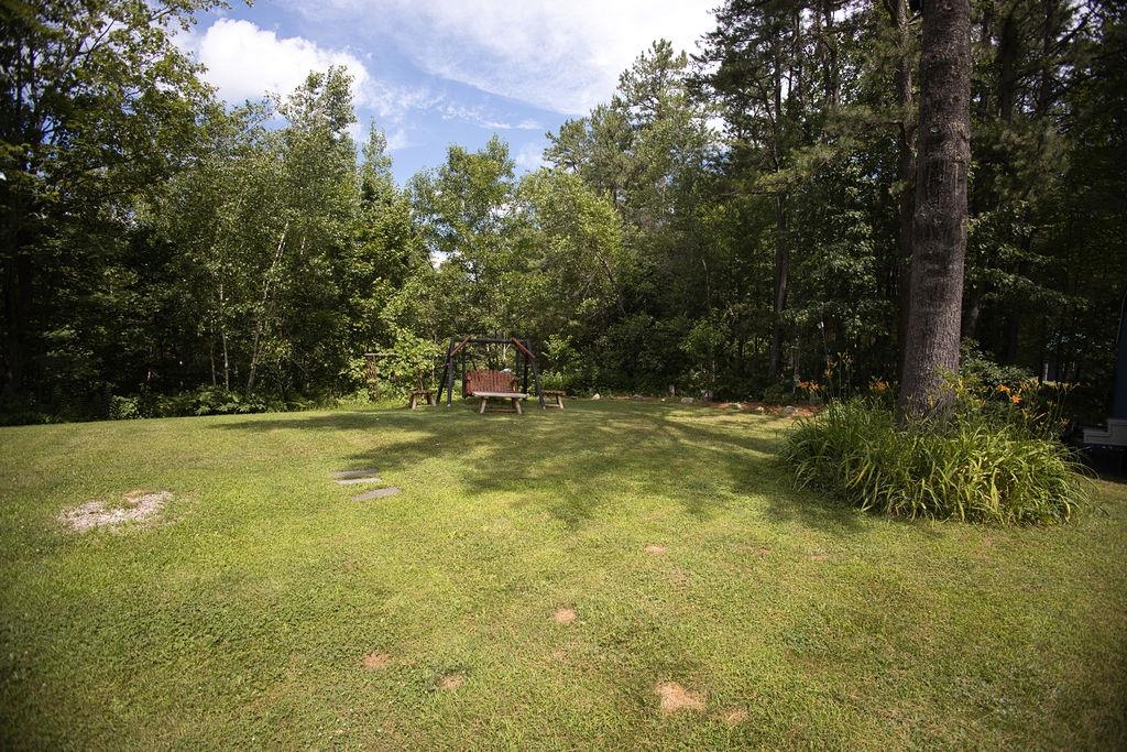 23 Pleasure Lands Glade
