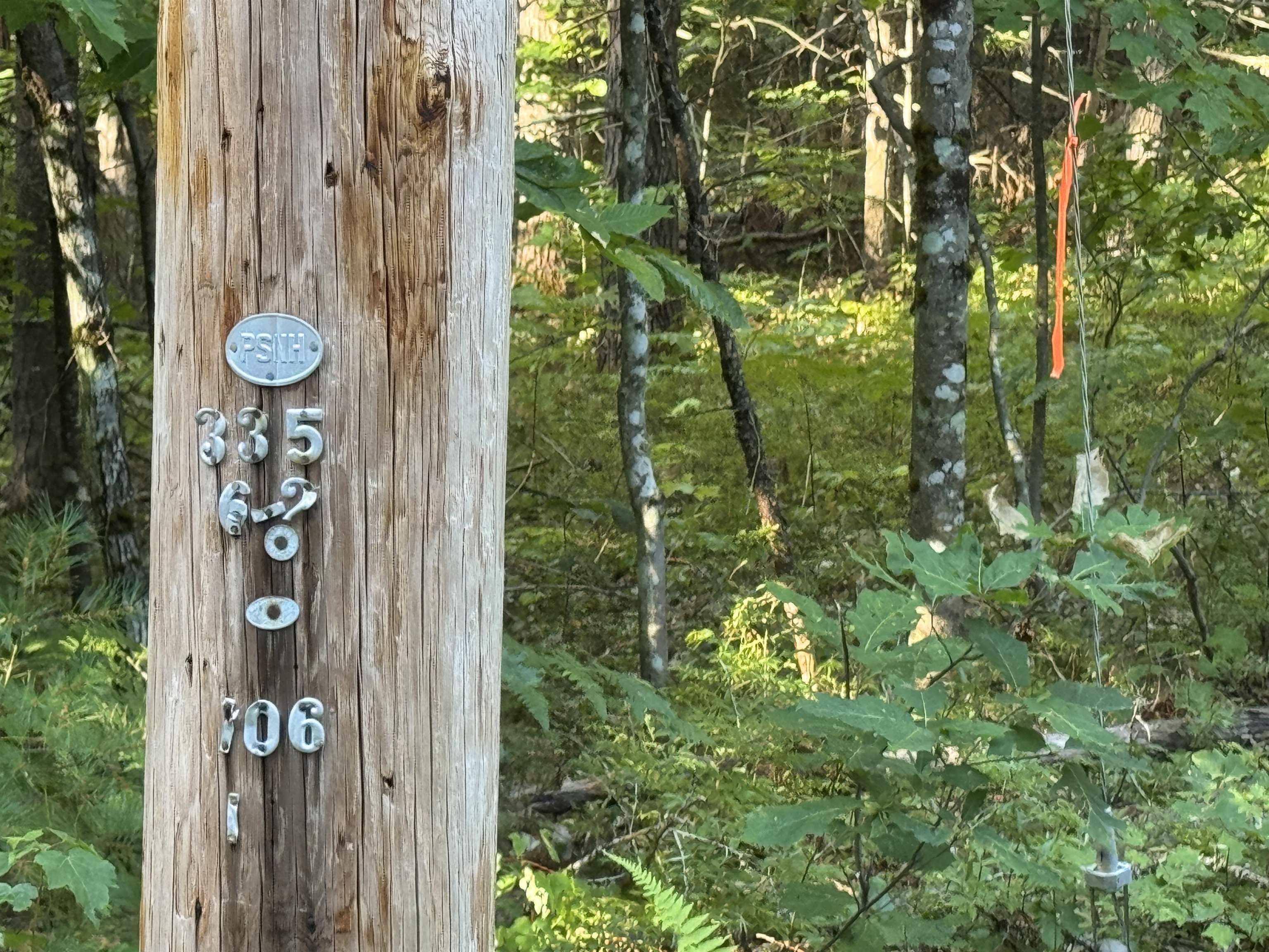 27 Blueberry Road