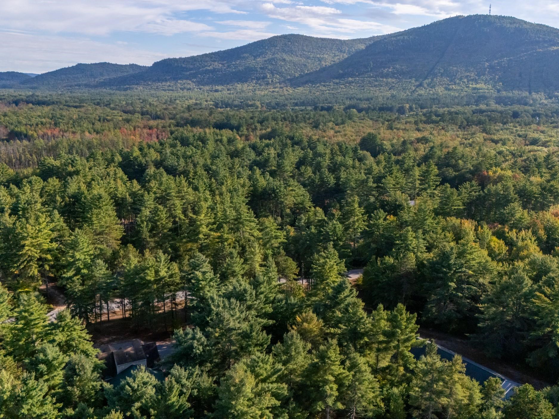 101 Ossipee Lake Road