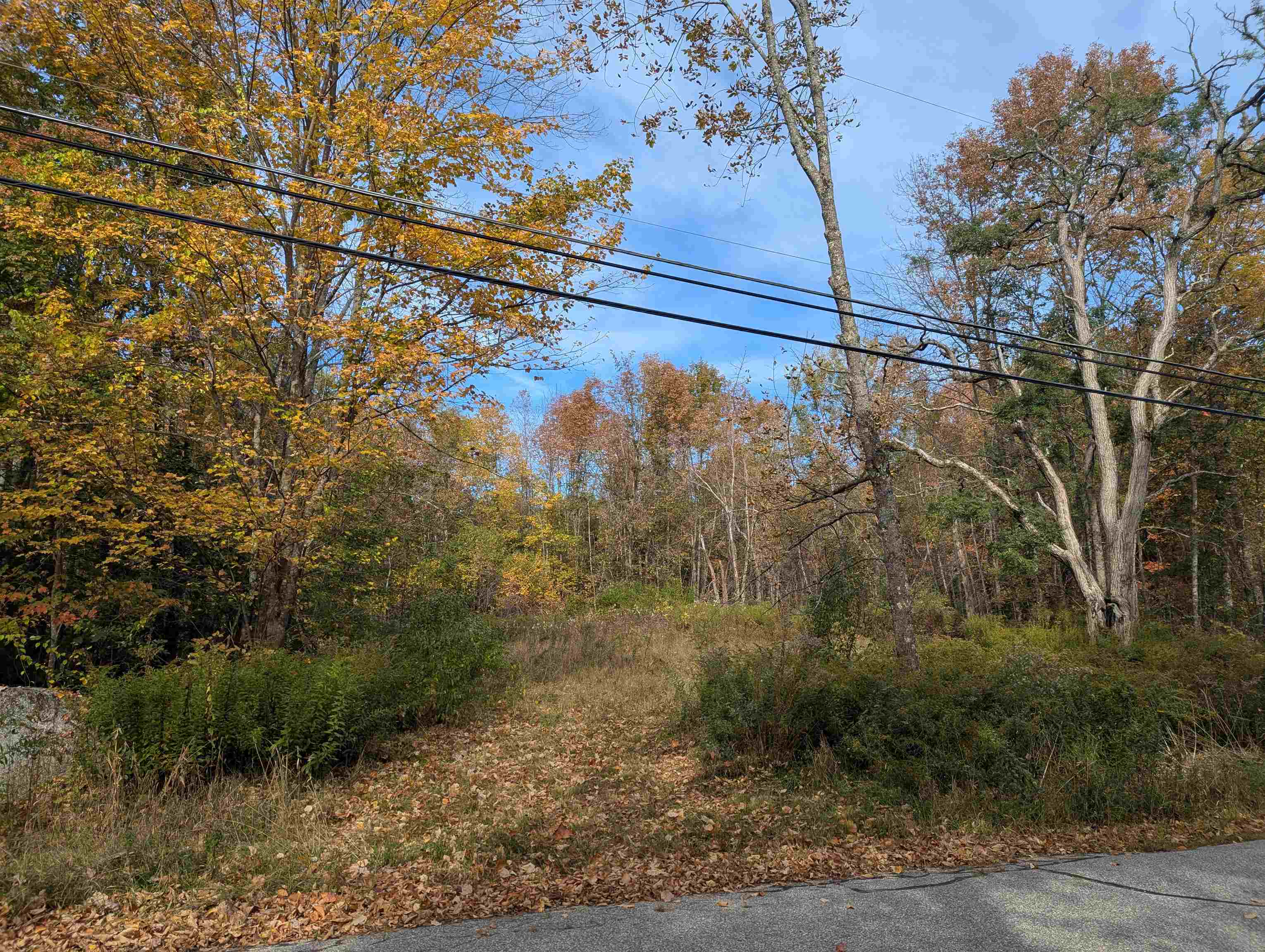 113 Jones Road