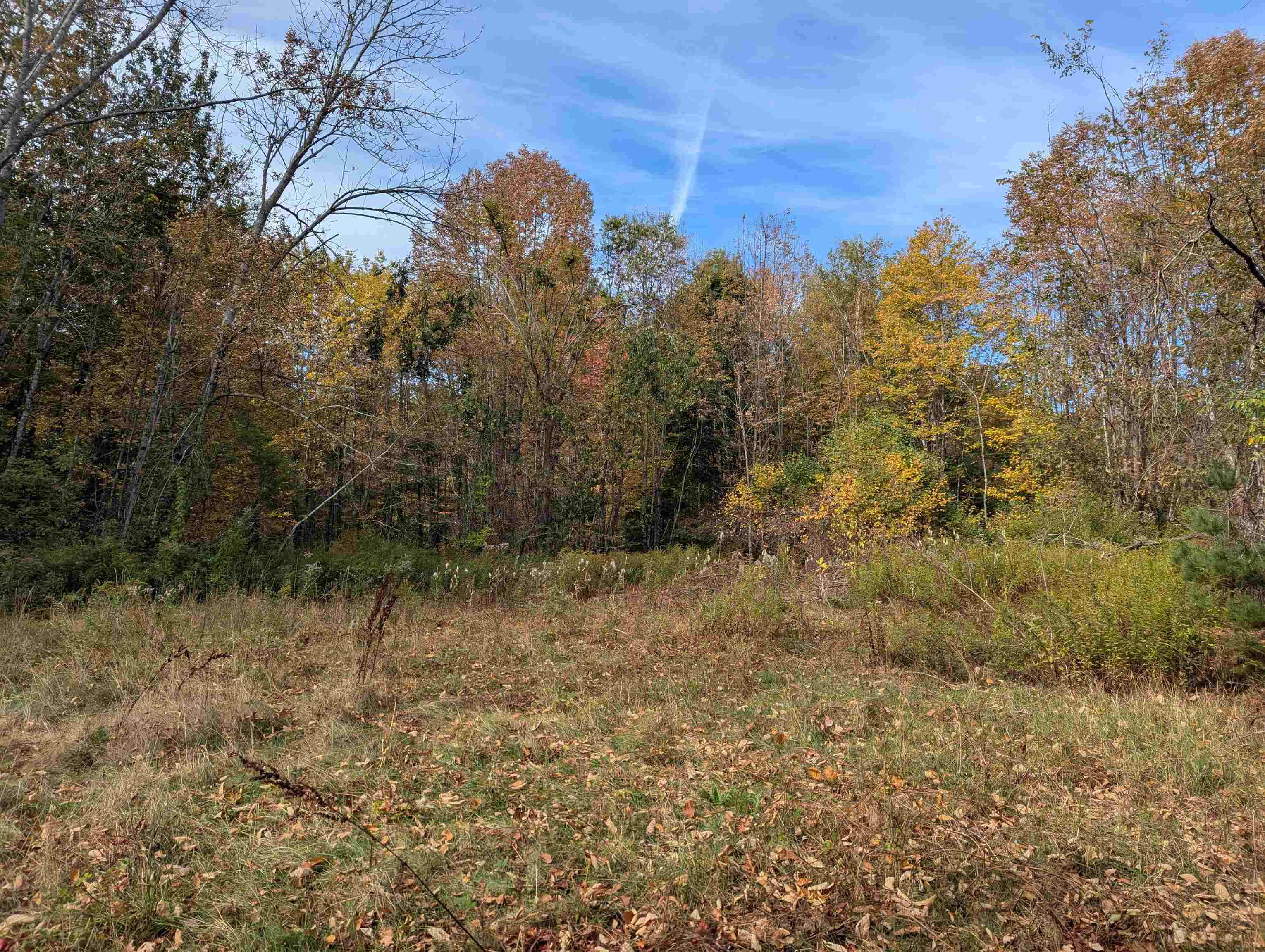 113 Jones Road photo