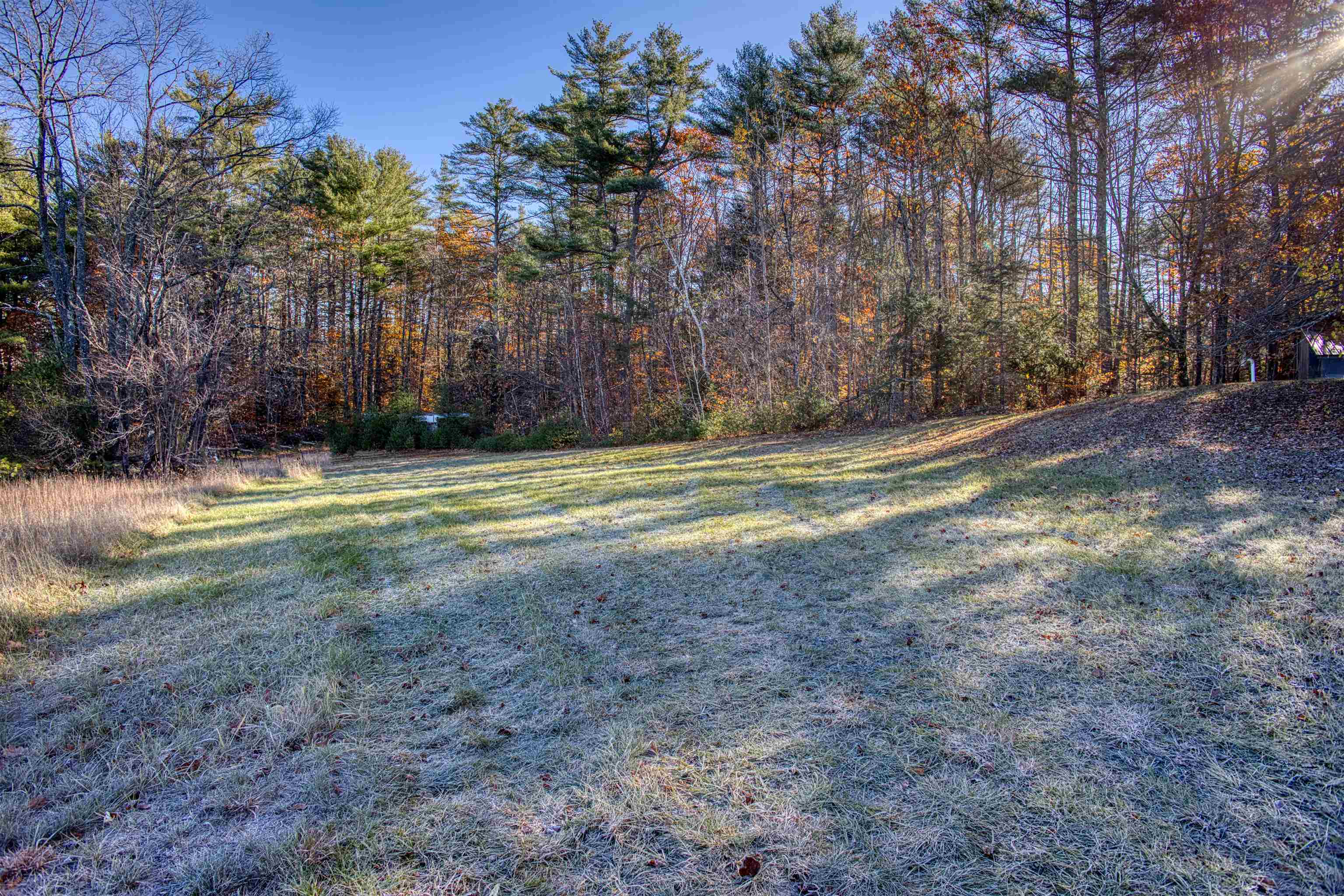 55 Pine River Road