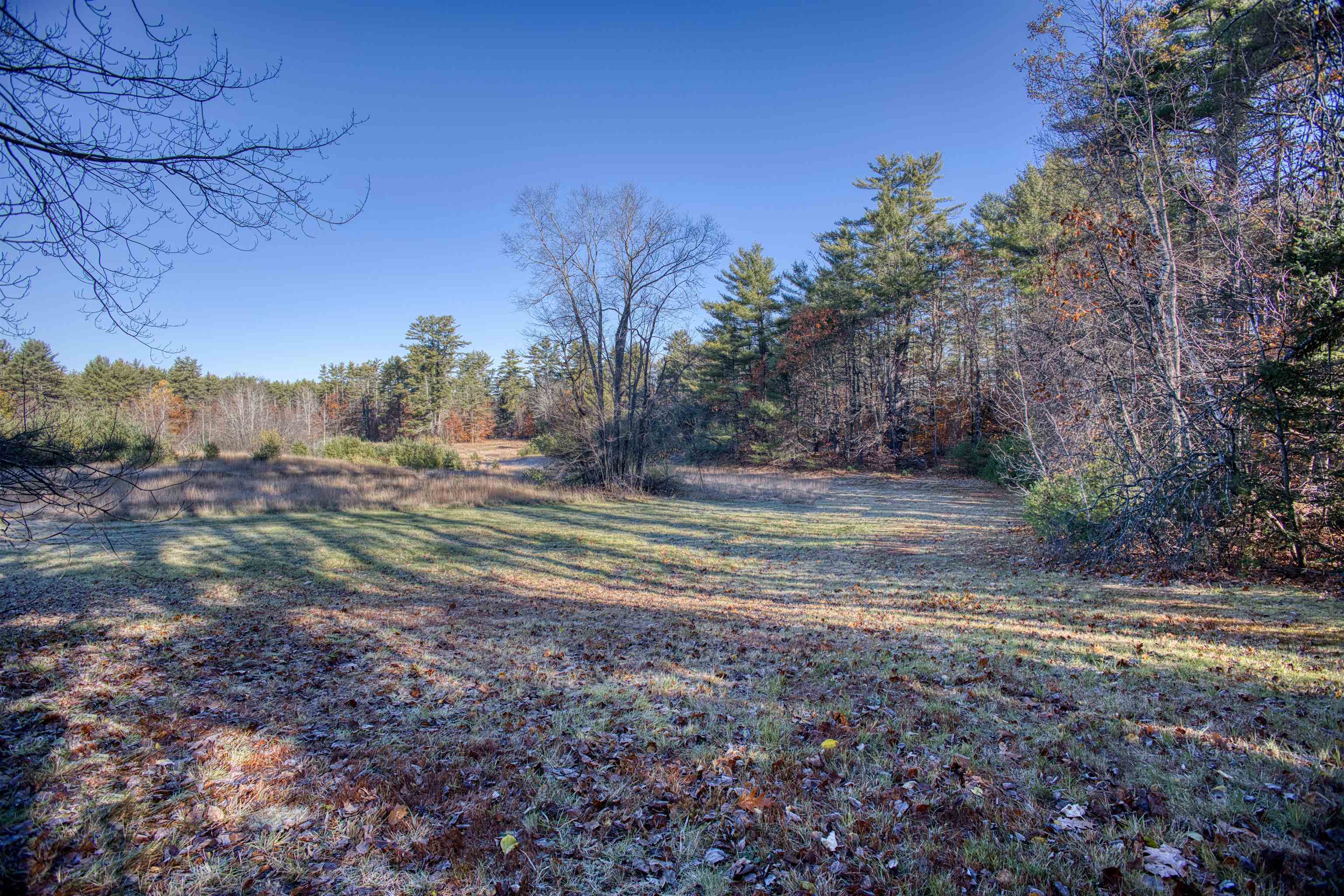 55 Pine River Road