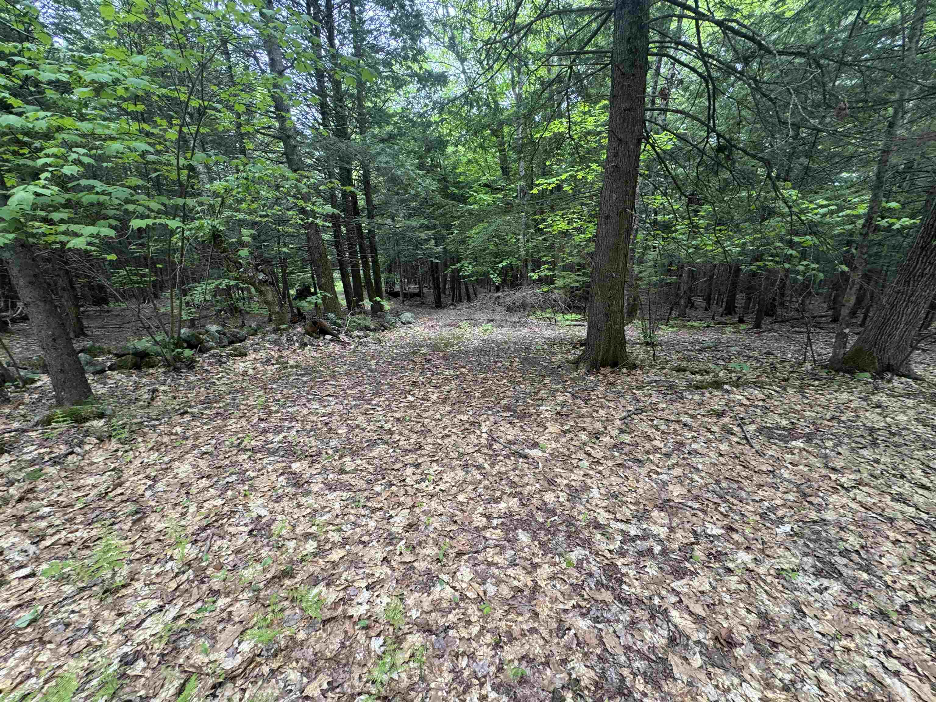 Lot 13 Beach Pond Road