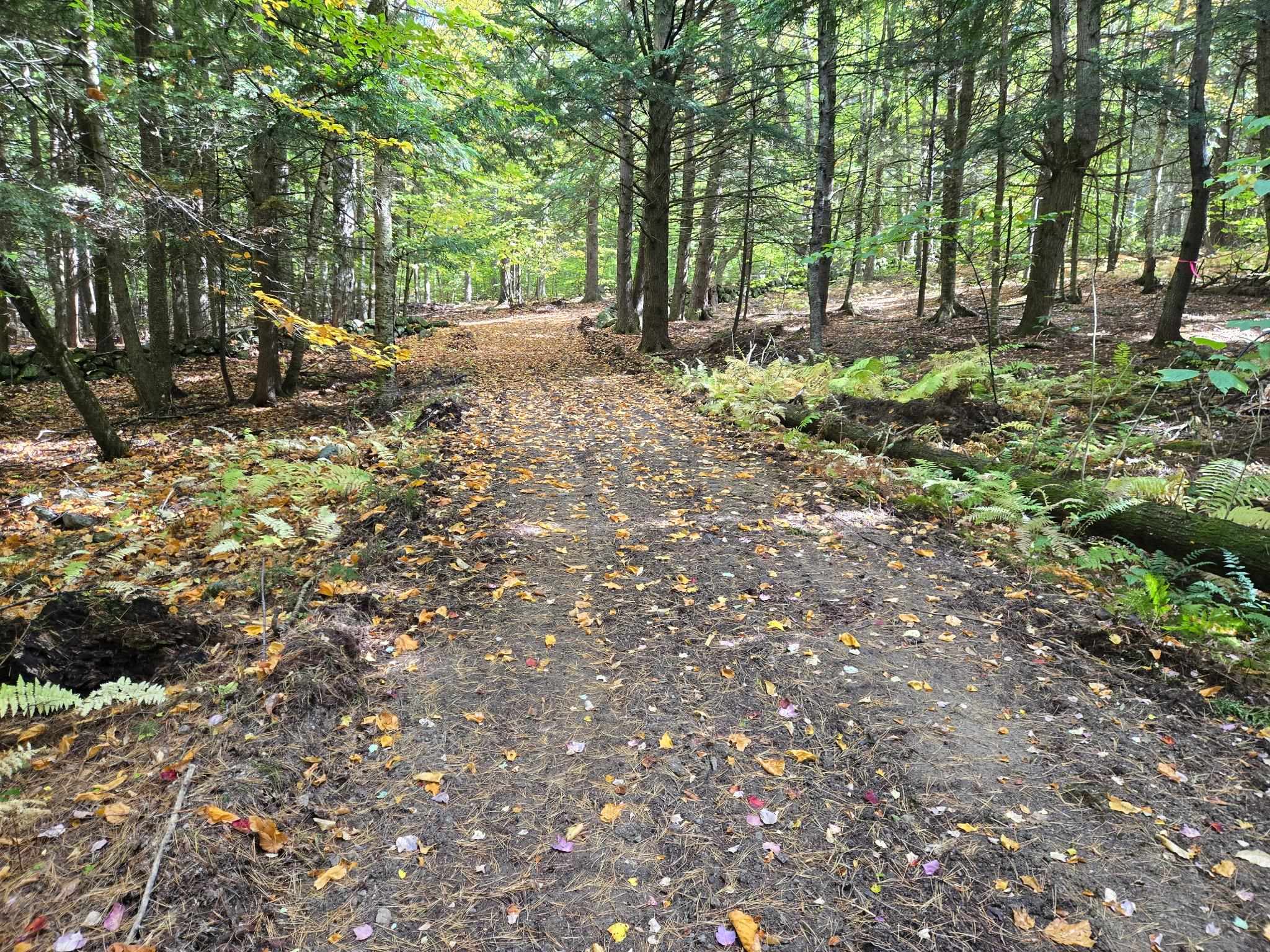 Lot 13 Beach Pond Road