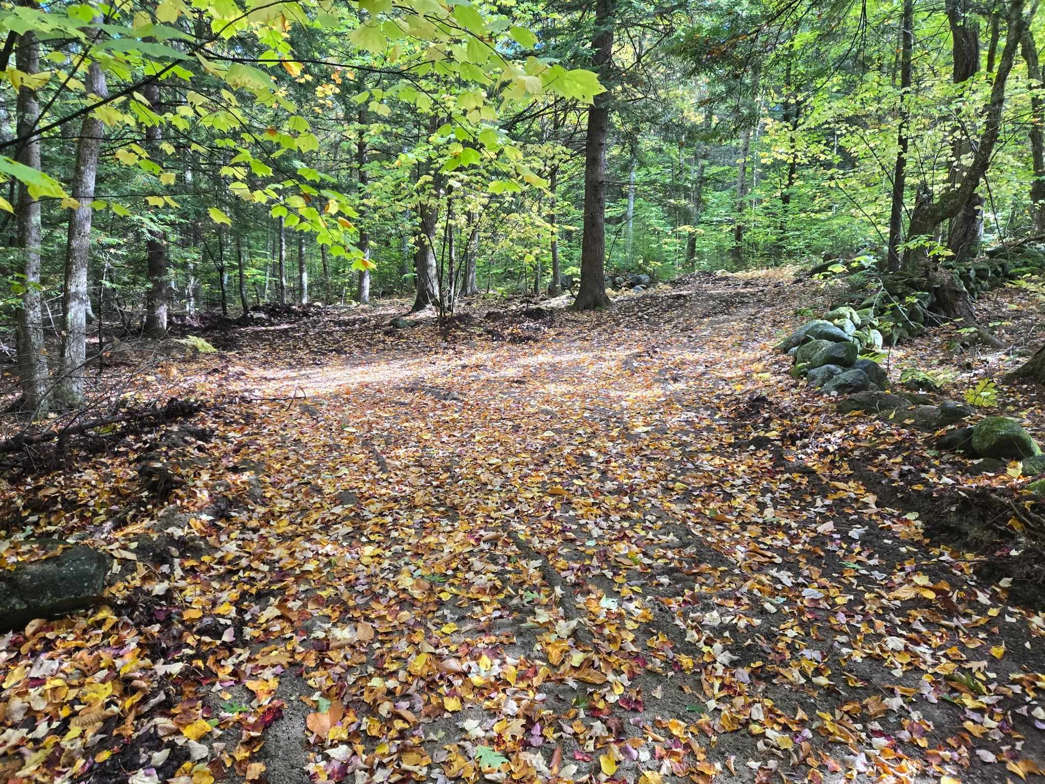 Lot 13 Beach Pond Road