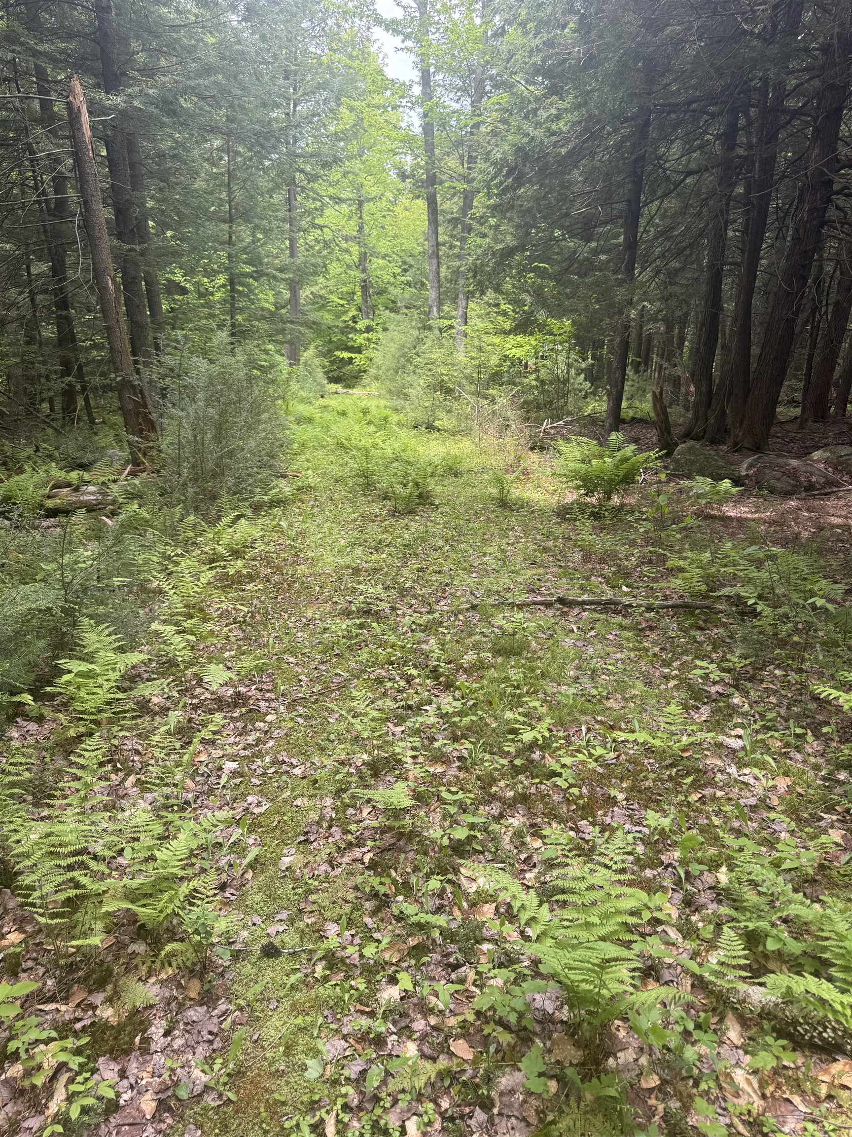 Lot 13 Beach Pond Road