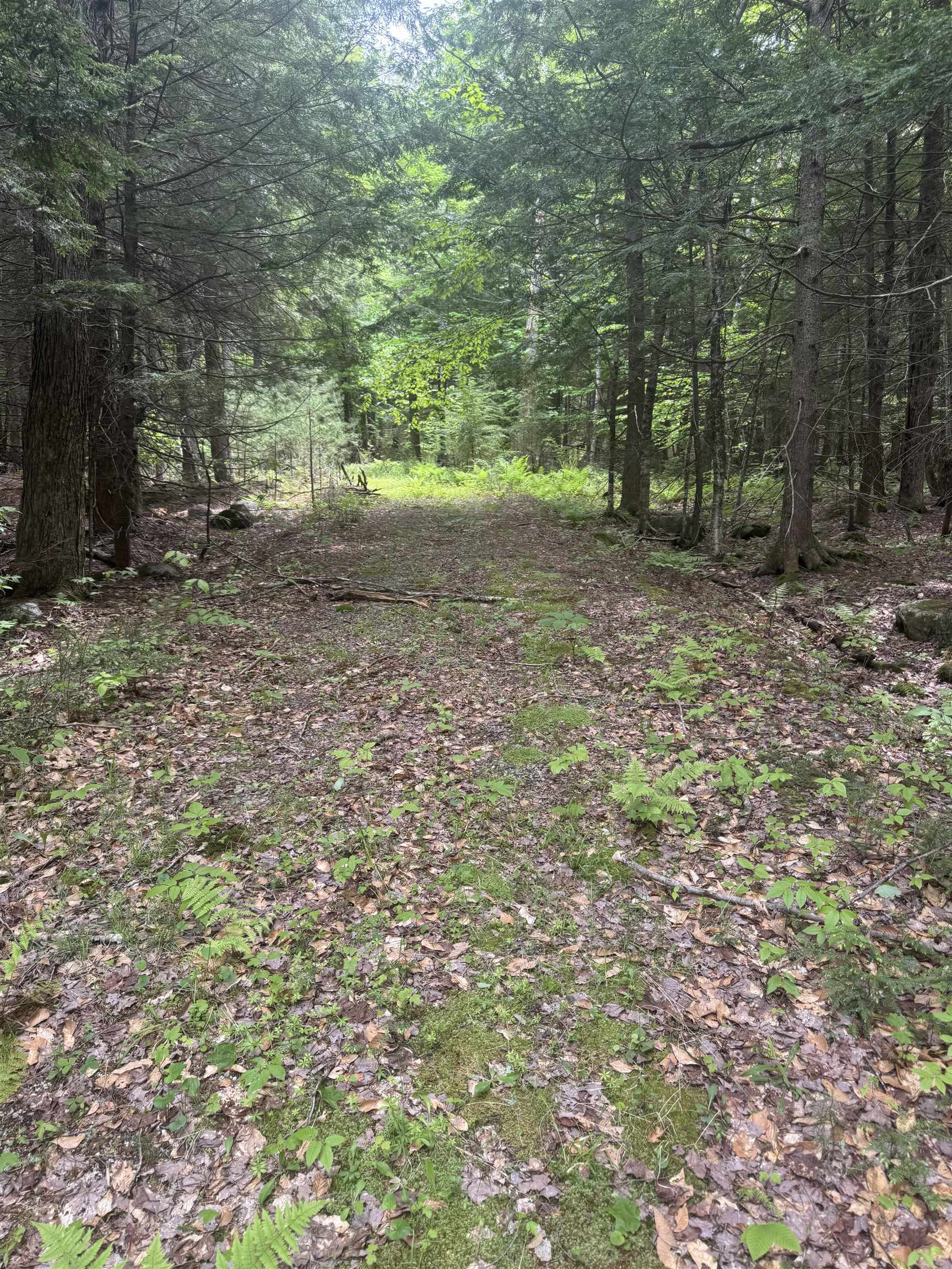 Lot 13 Beach Pond Road