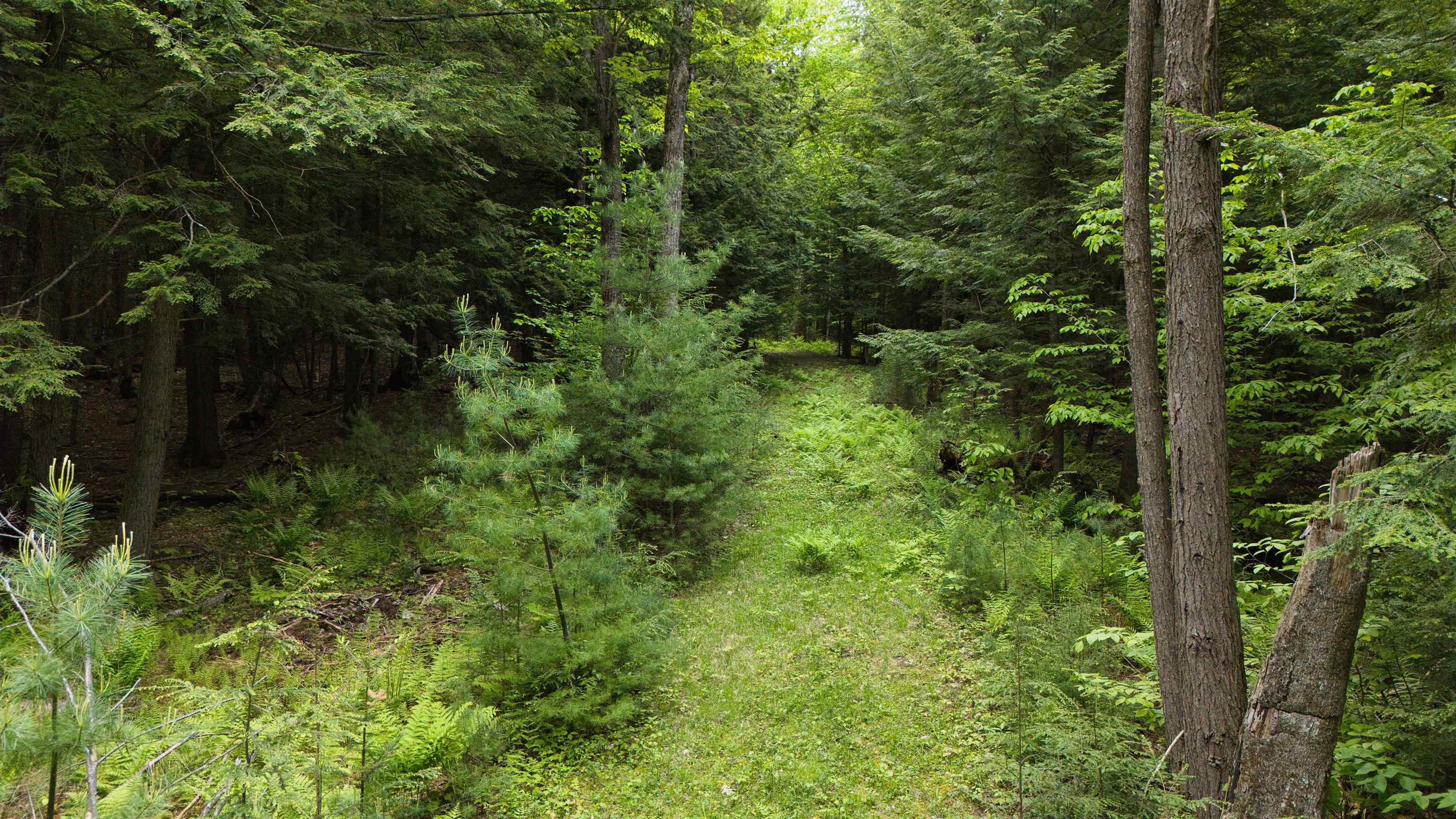 Lot 13 Beach Pond Road