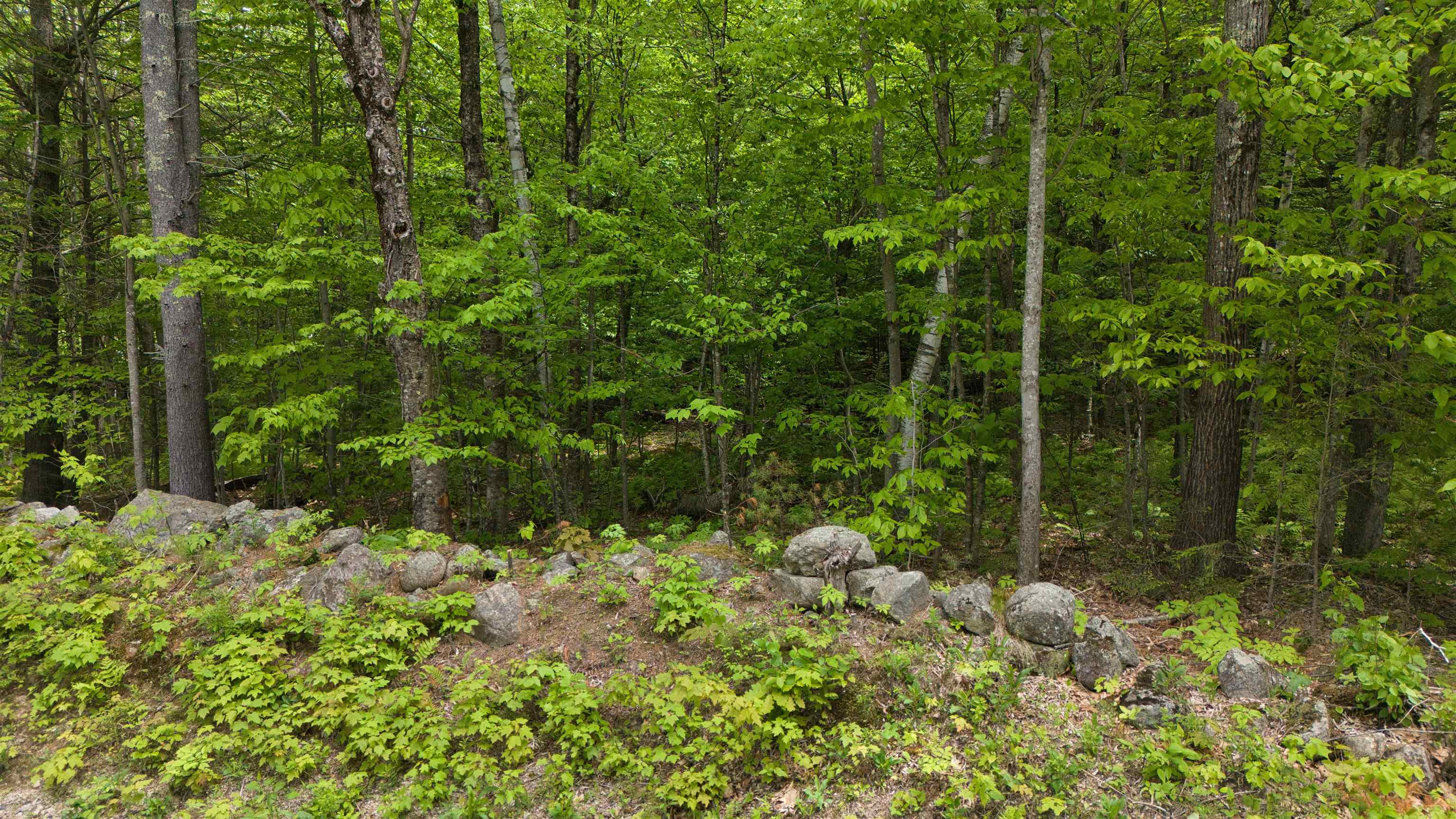 Lot 13 Beach Pond Road