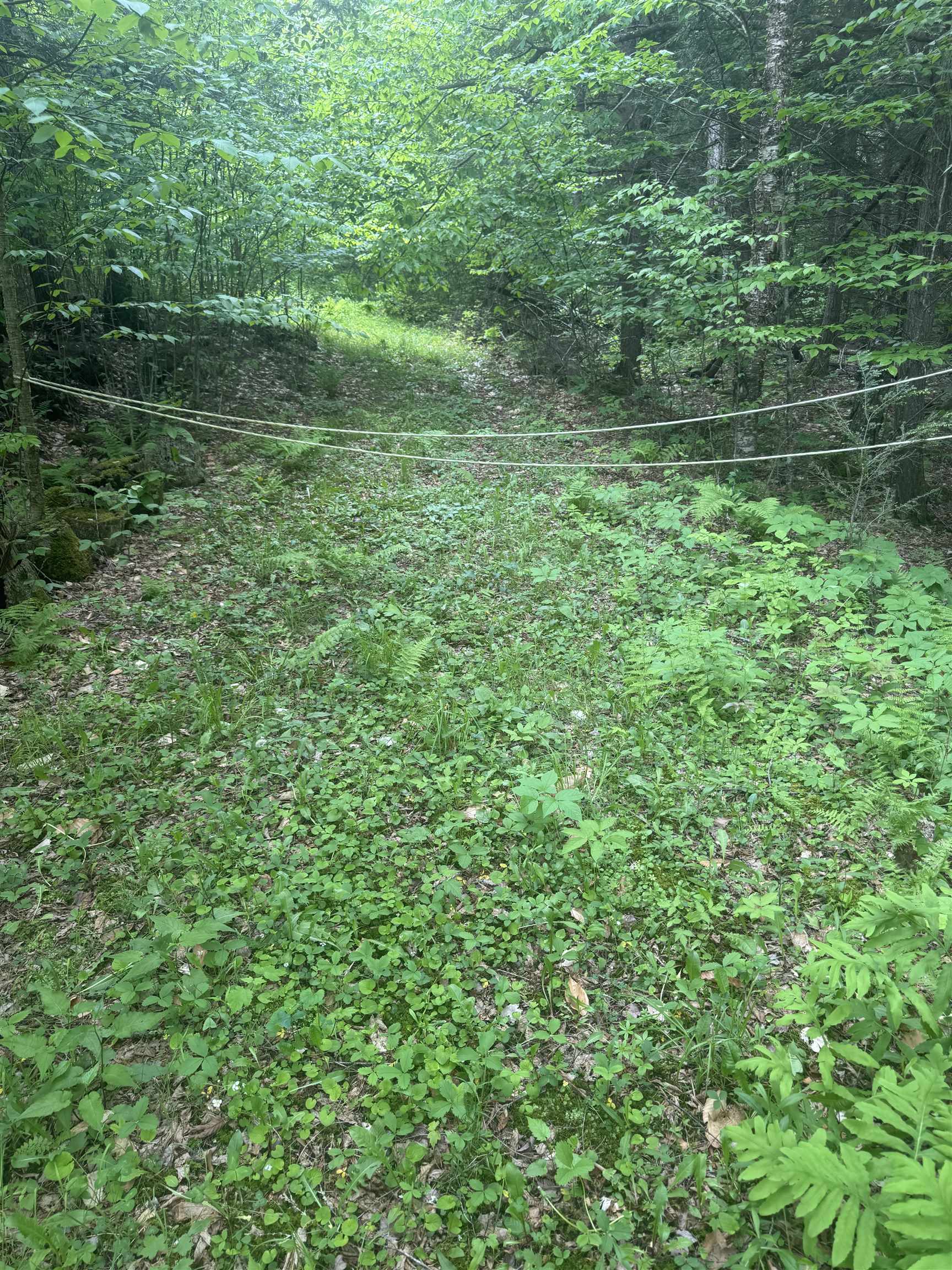 Lot 13 Beach Pond Road