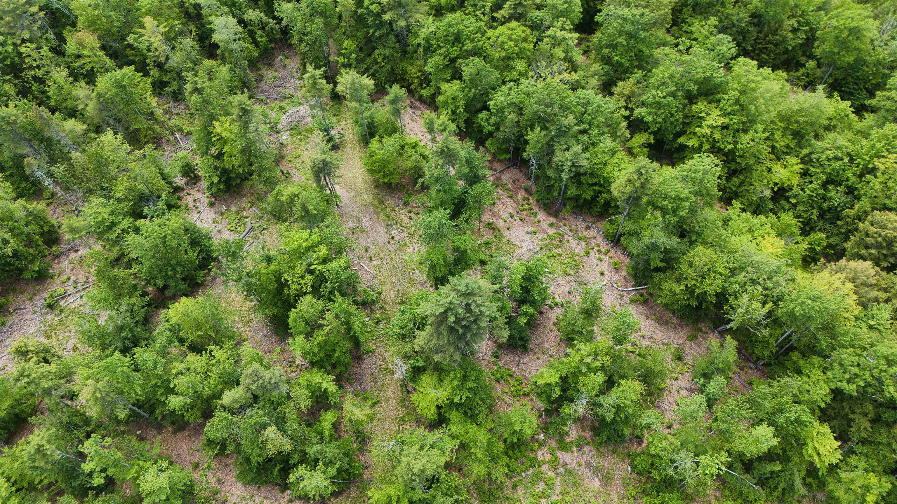 160 Browns Ridge Road