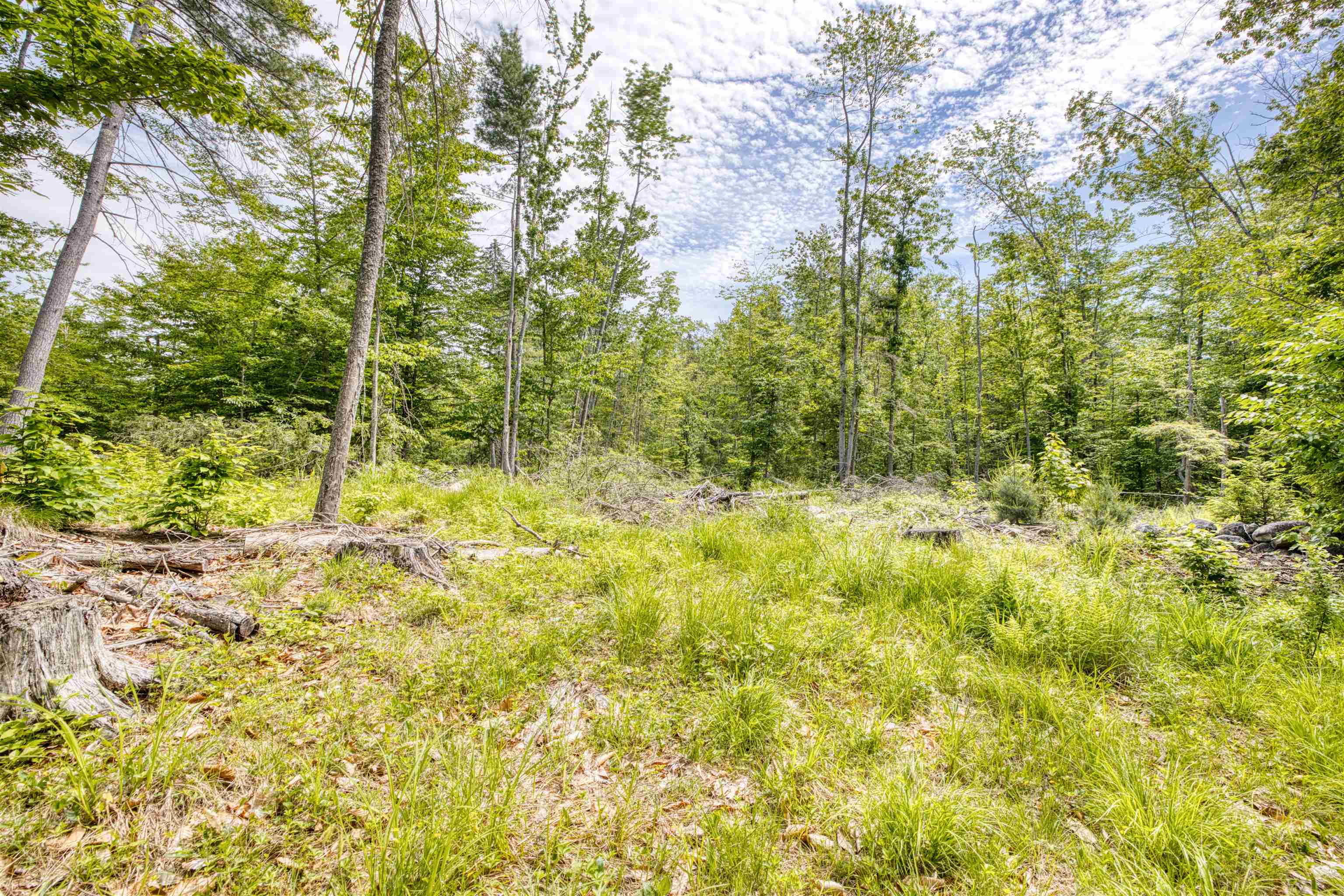 160 Browns Ridge Road