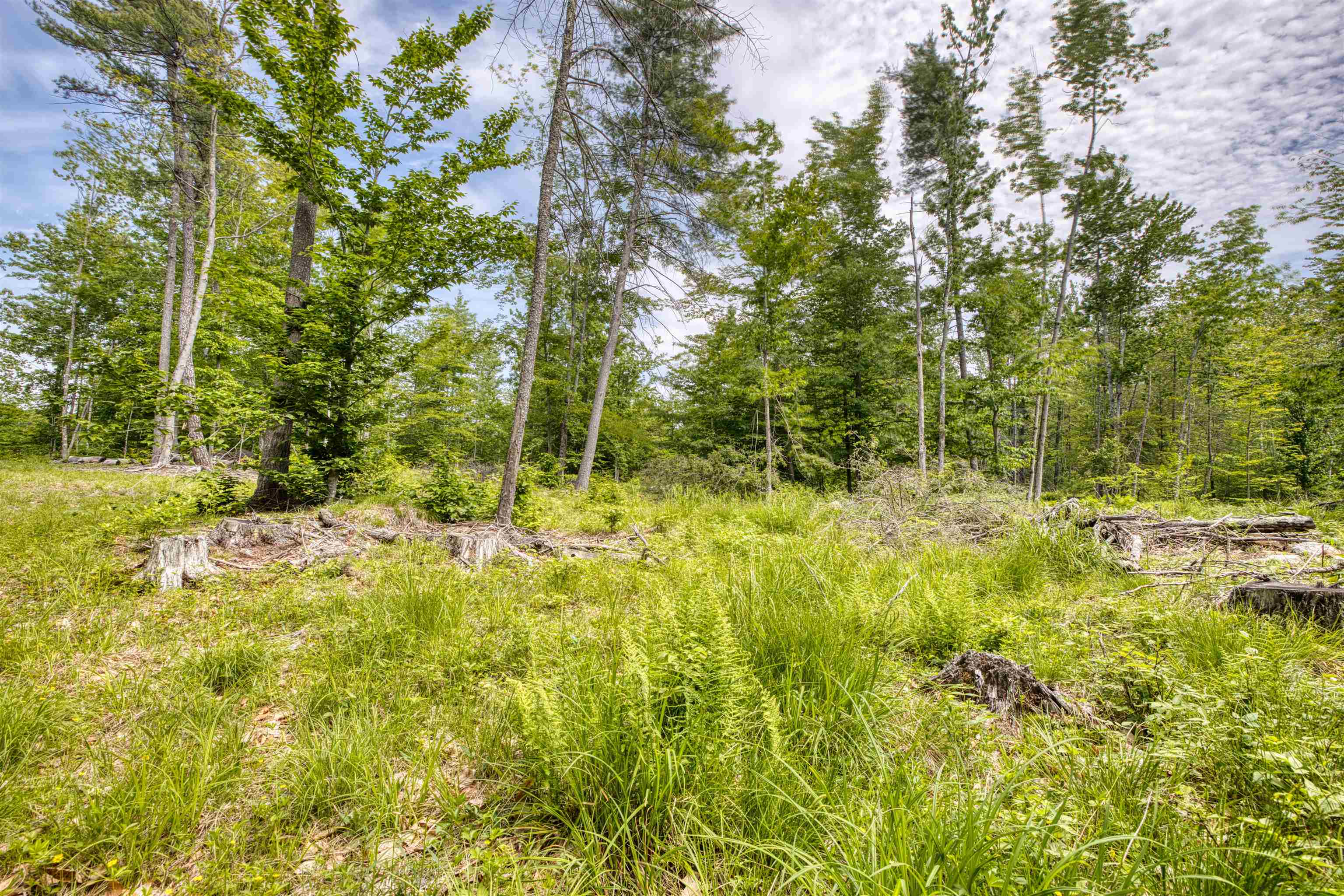 160 Browns Ridge Road