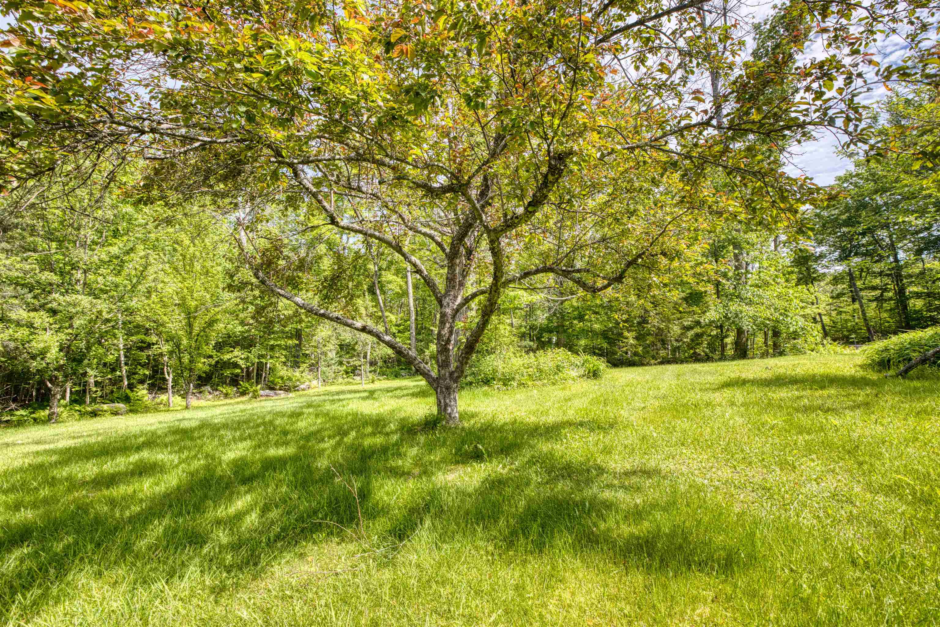 160 Browns Ridge Road