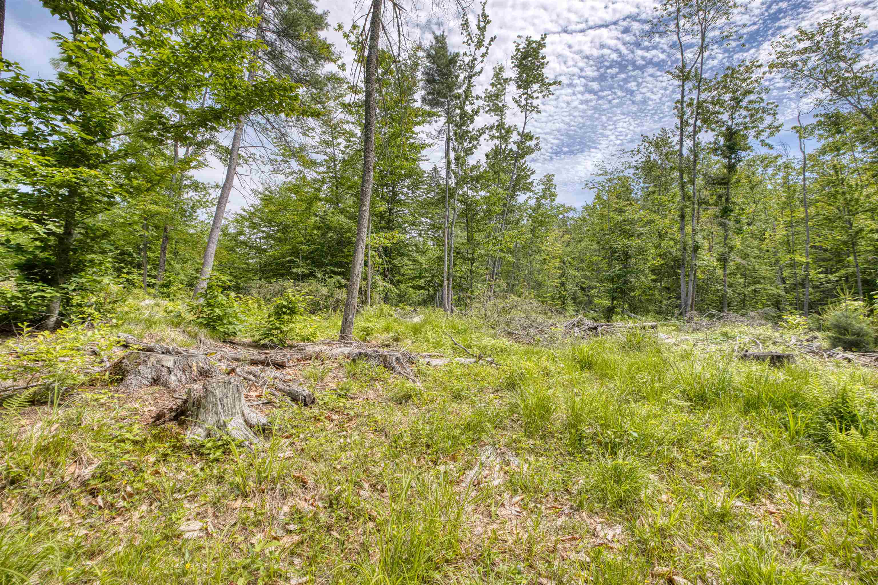 160 Browns Ridge Road