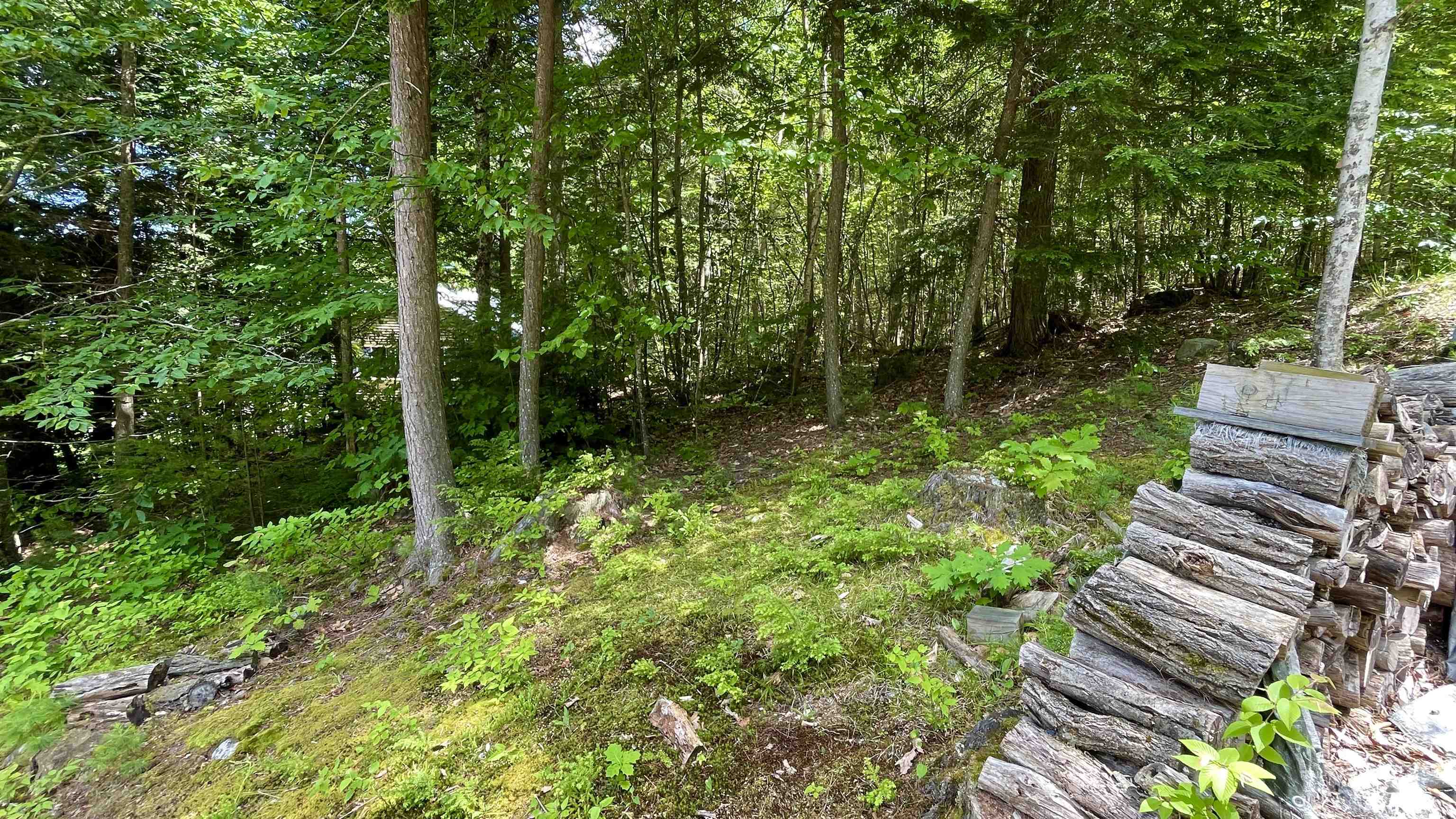 Lots 12 & 12-1 Lovell Lake Road