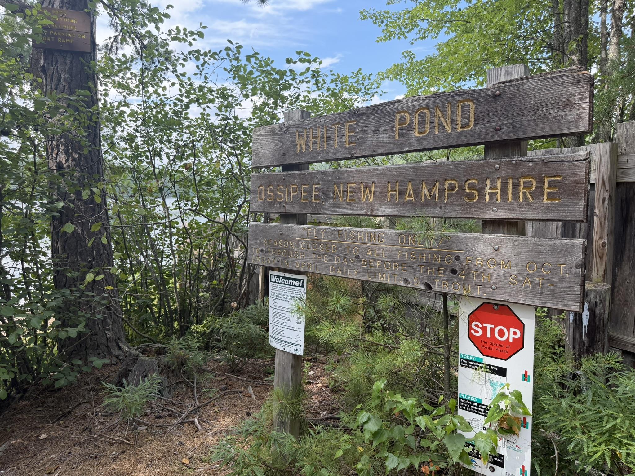 53 White Pond Road