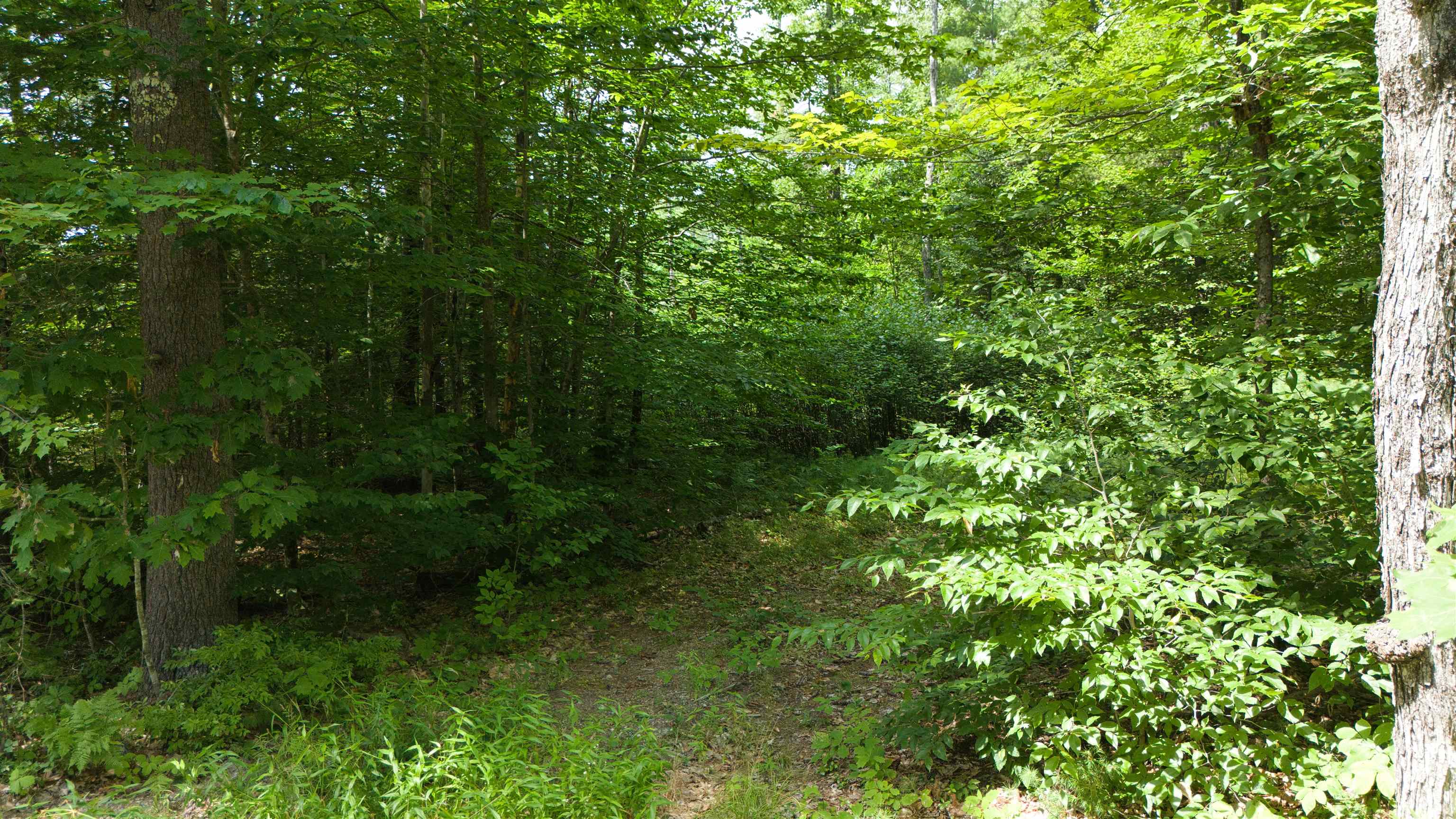 Lot 1,2,3 Colcord Road