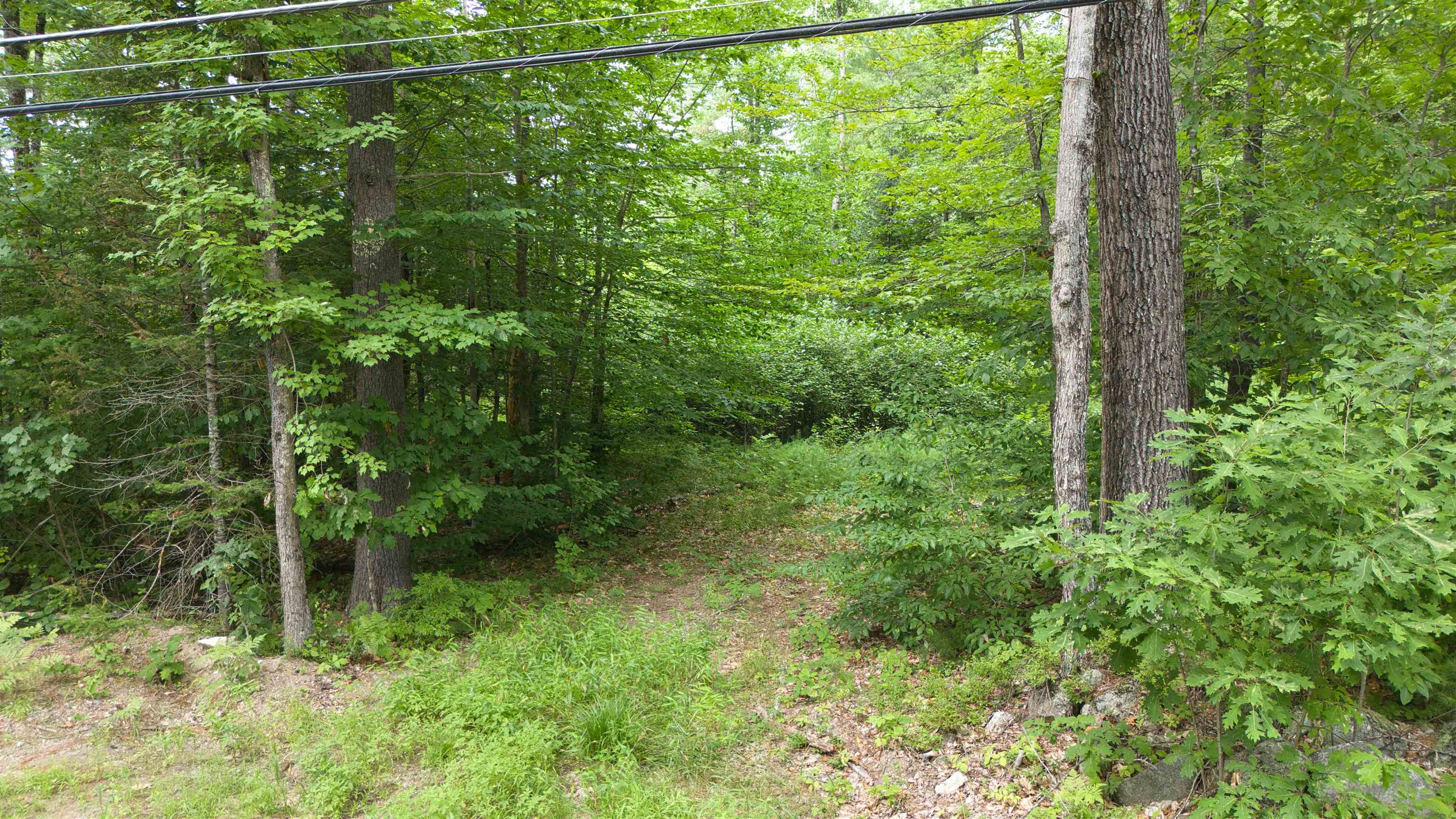 Lot 1,2,3 Colcord Road