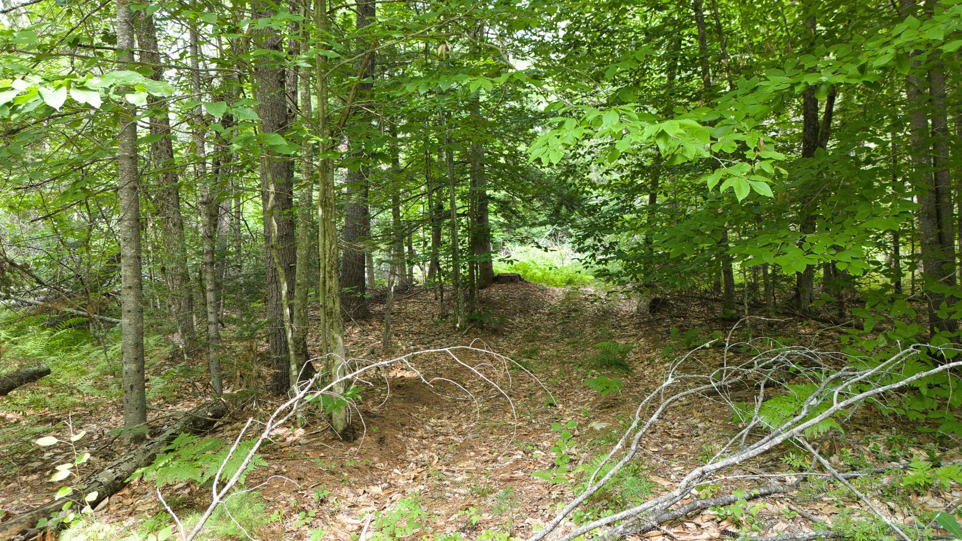 Lot 1,2,3 Colcord Road