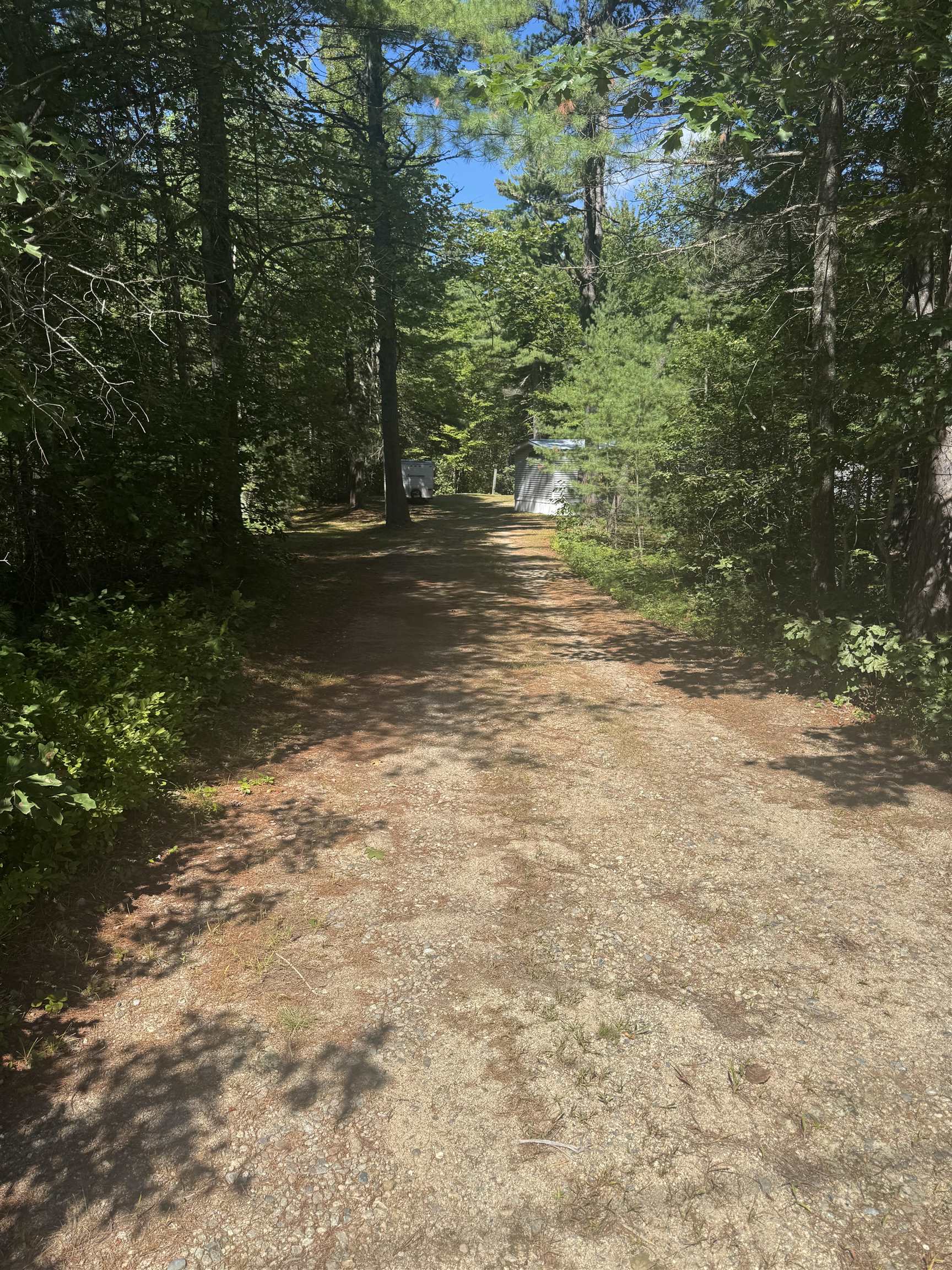6 Blueberry Road