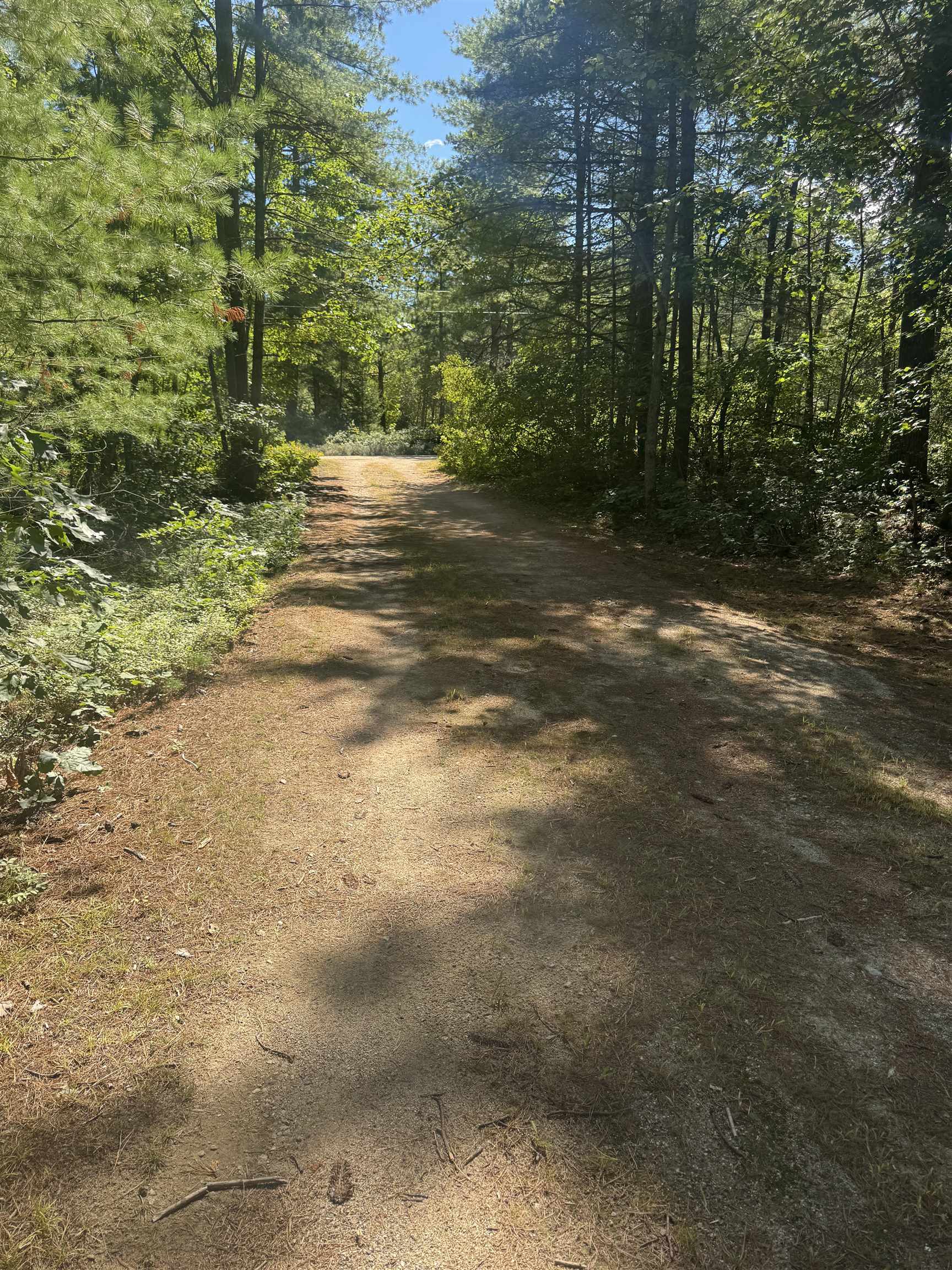 6 Blueberry Road