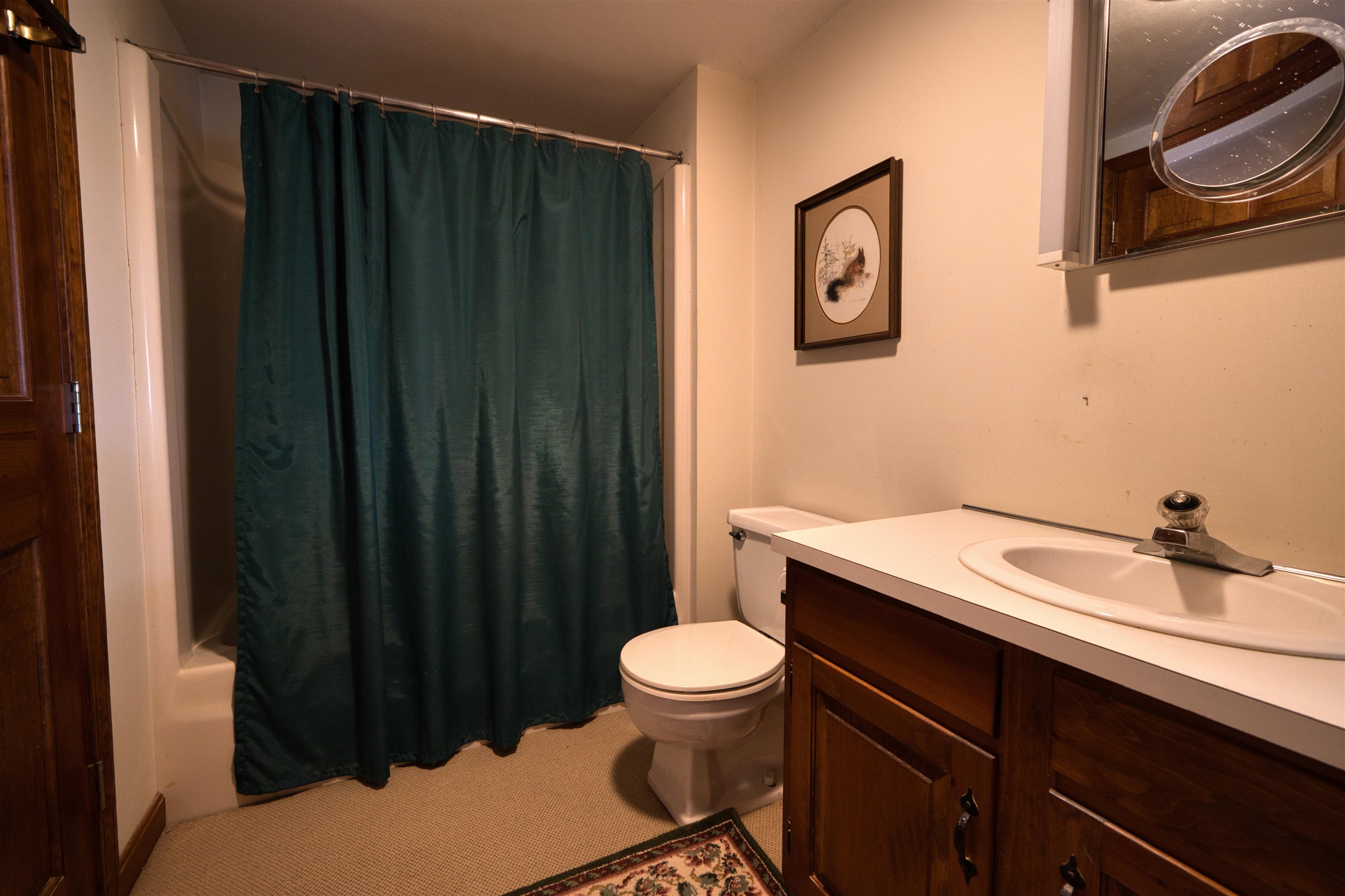 436 Pequawket Trail