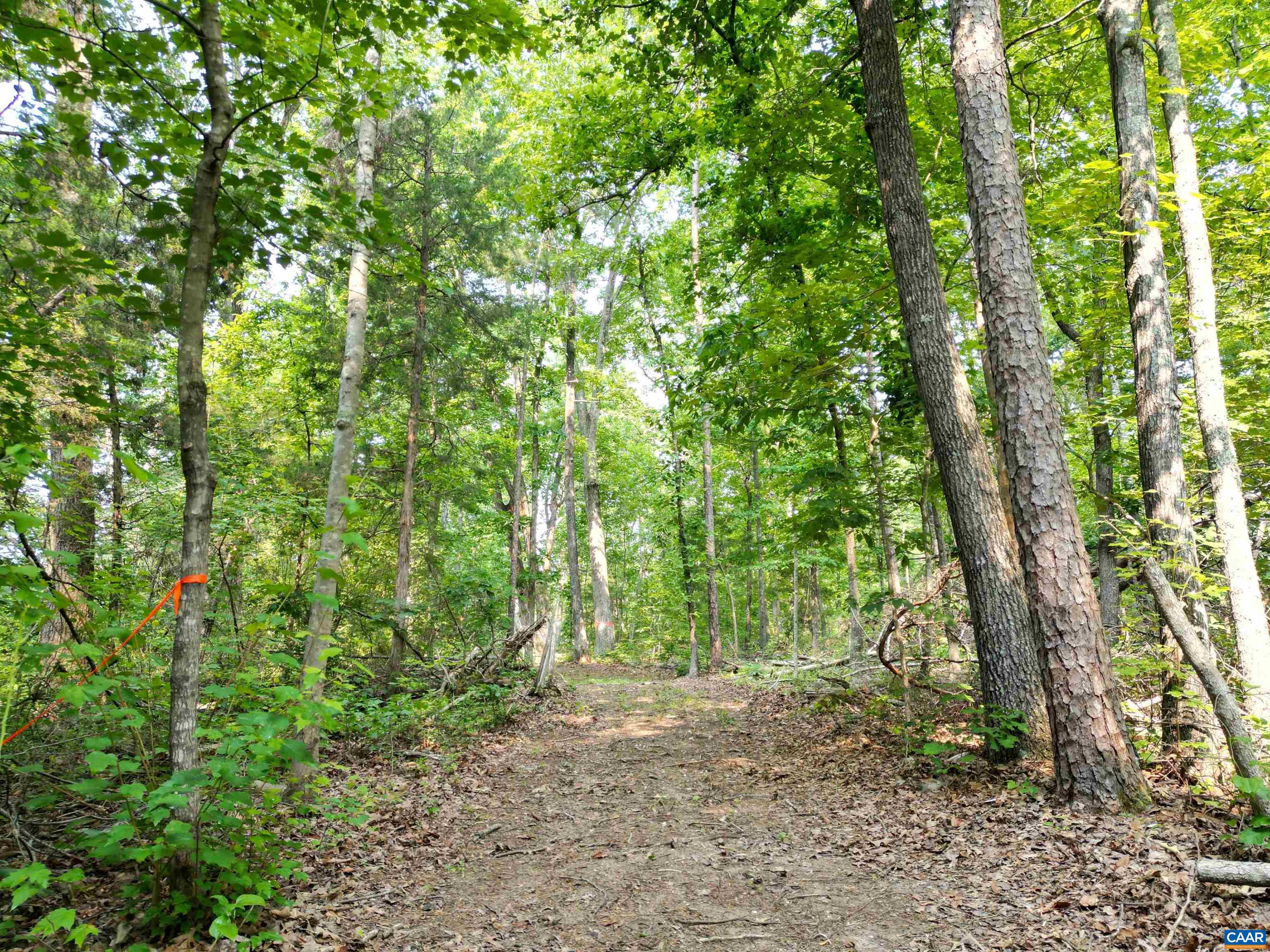 0 JEFFERSON MILL RD
