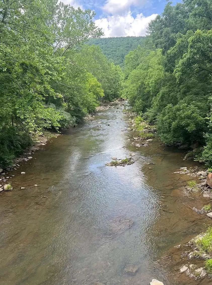 1563 PEAKS VIEW DR