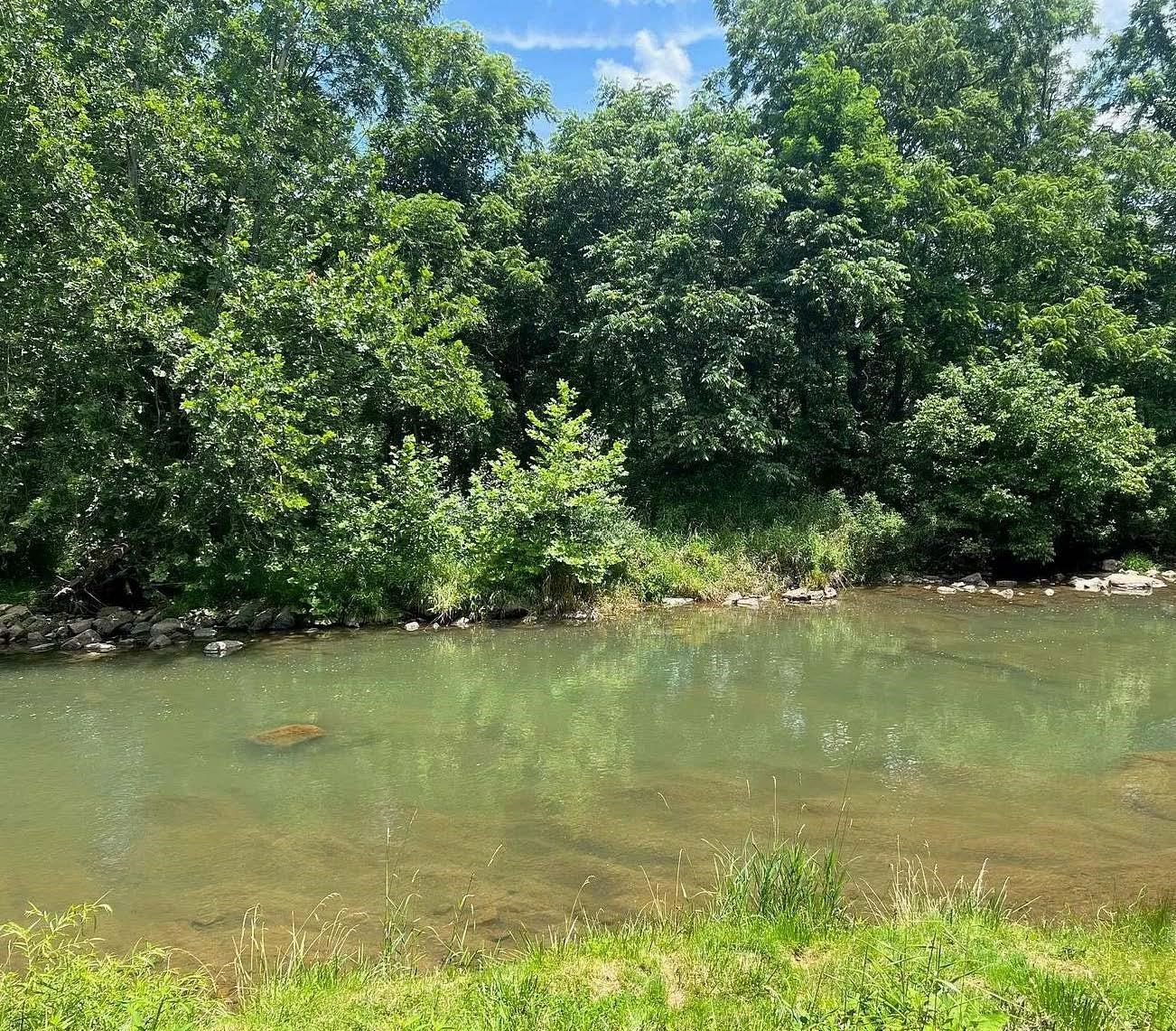 1563 PEAKS VIEW DR