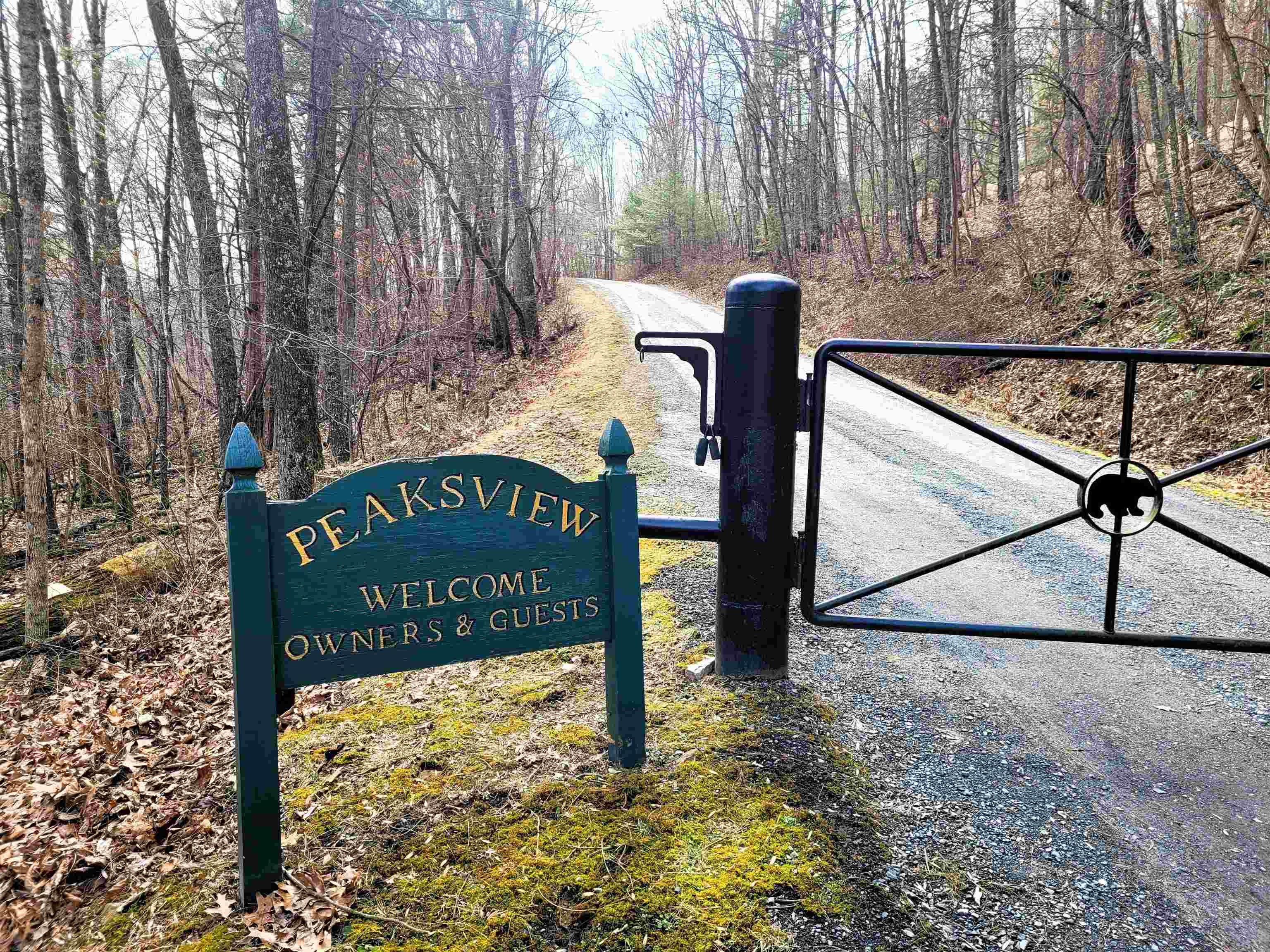 1563 PEAKS VIEW DR