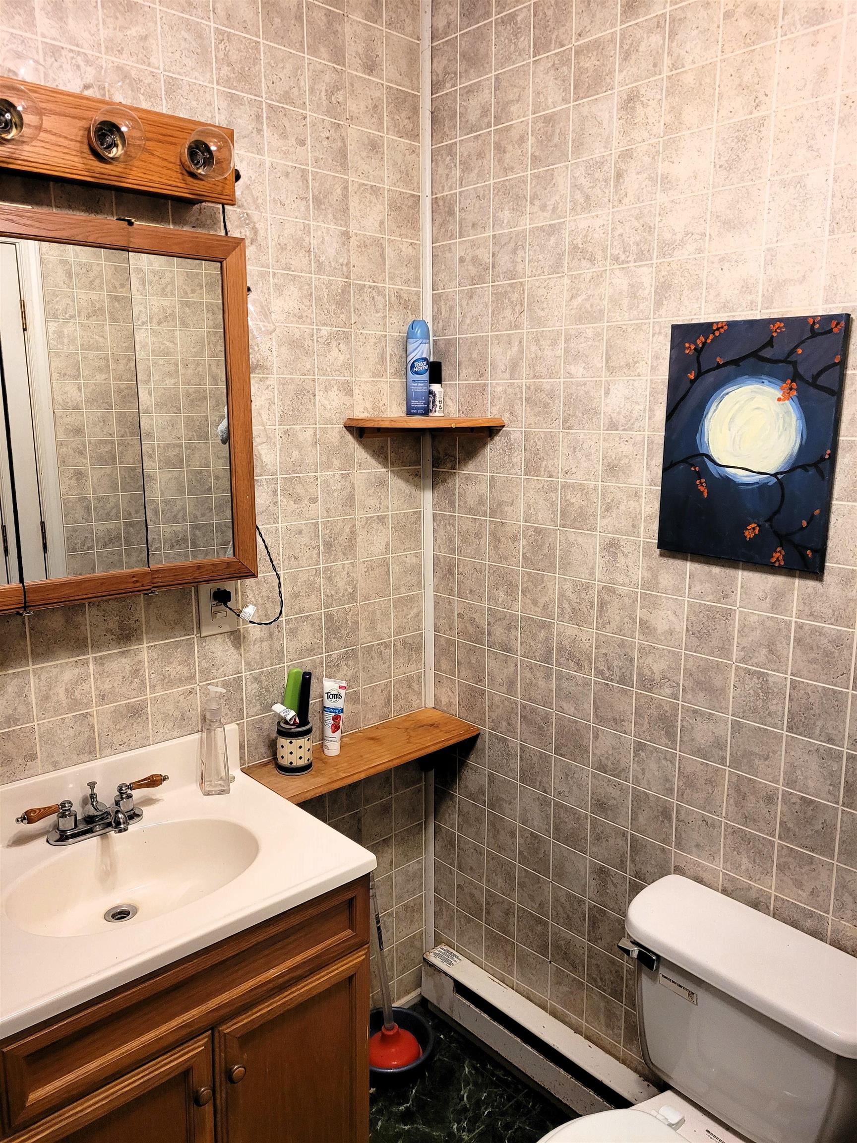 1563 PEAKS VIEW DR