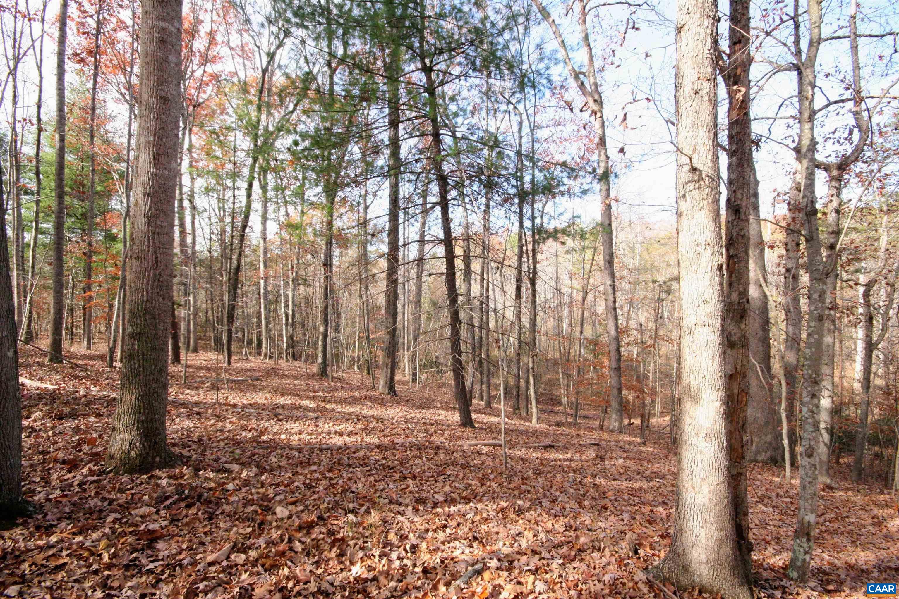 11480 RD