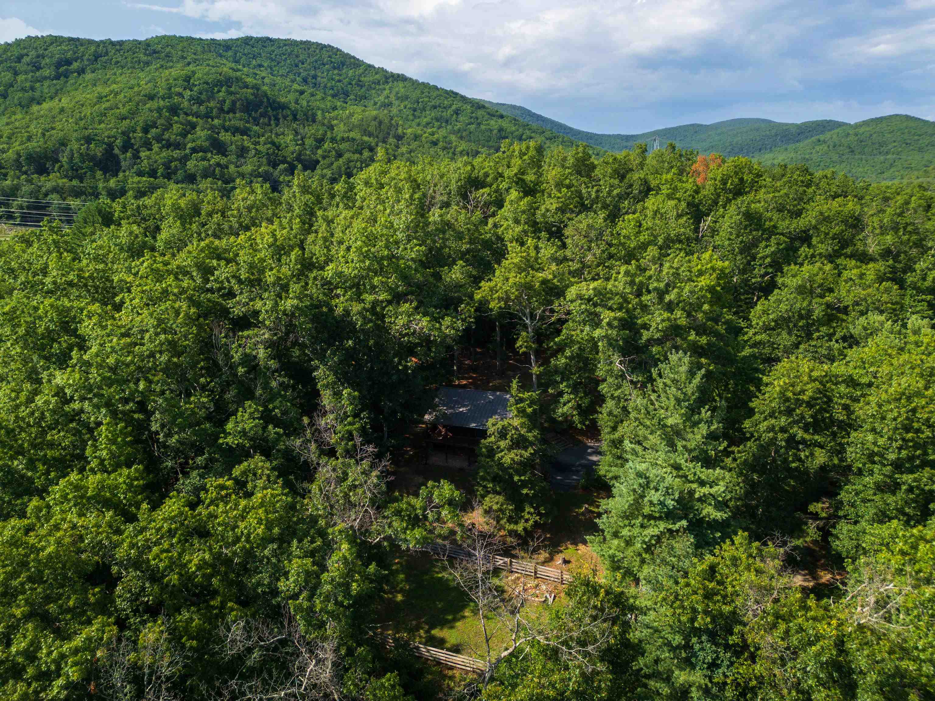 1363 CALF MOUNTAIN RD