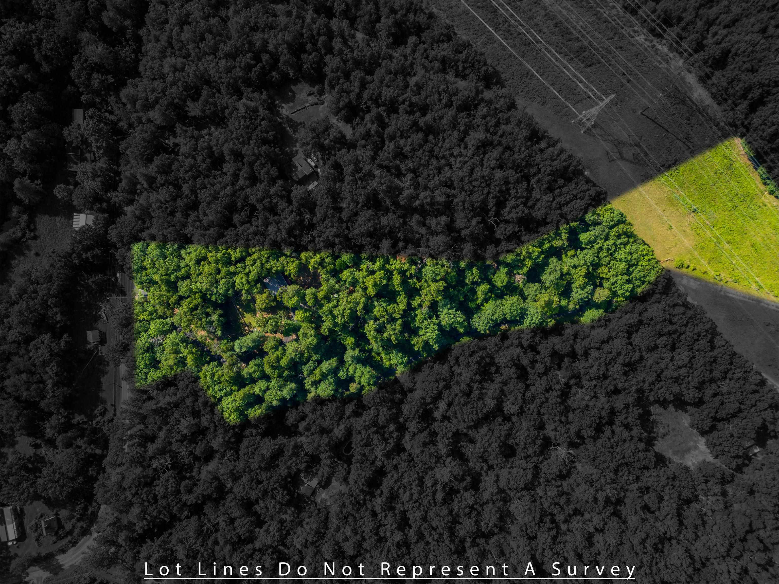 1363 CALF MOUNTAIN RD