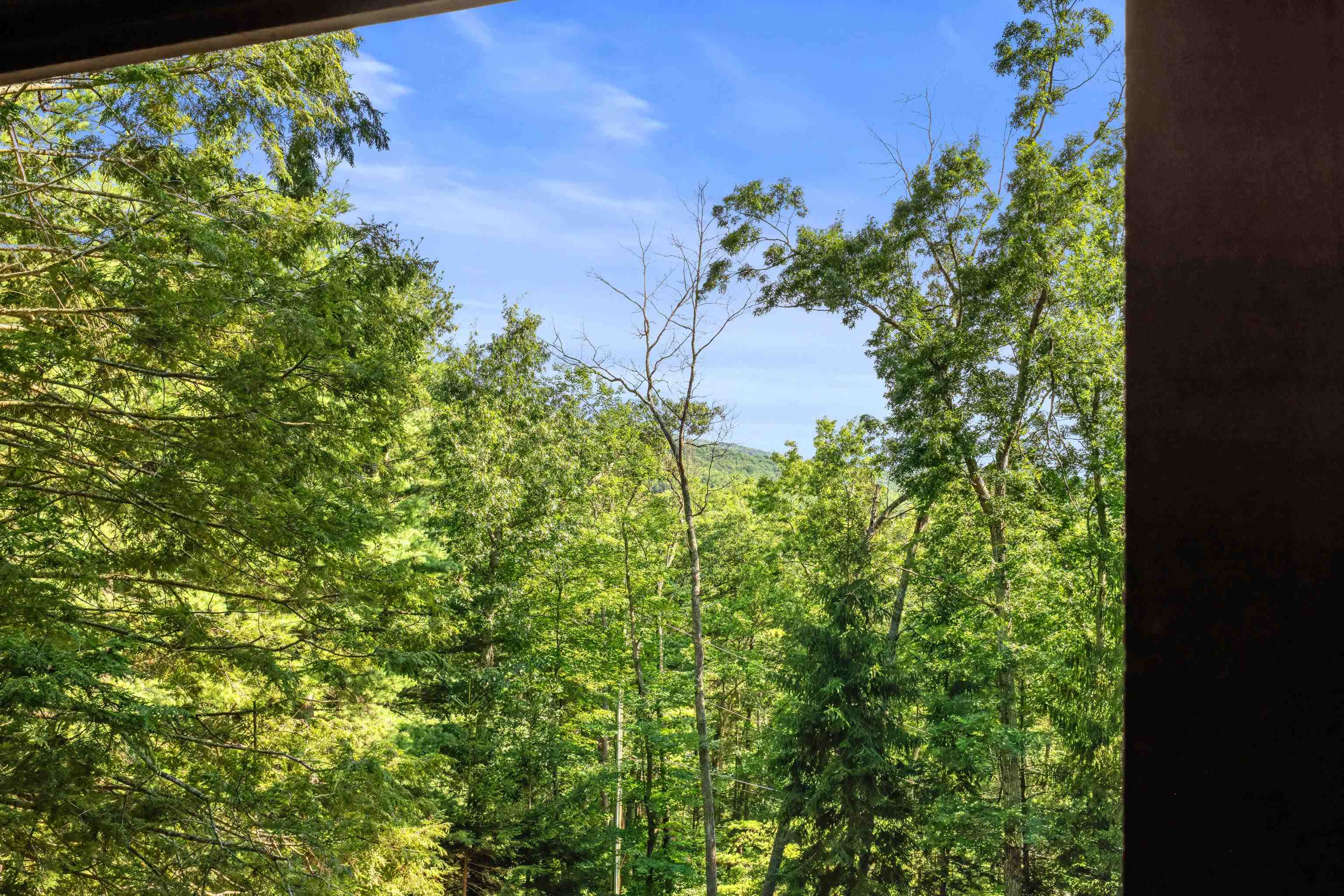 1363 CALF MOUNTAIN RD