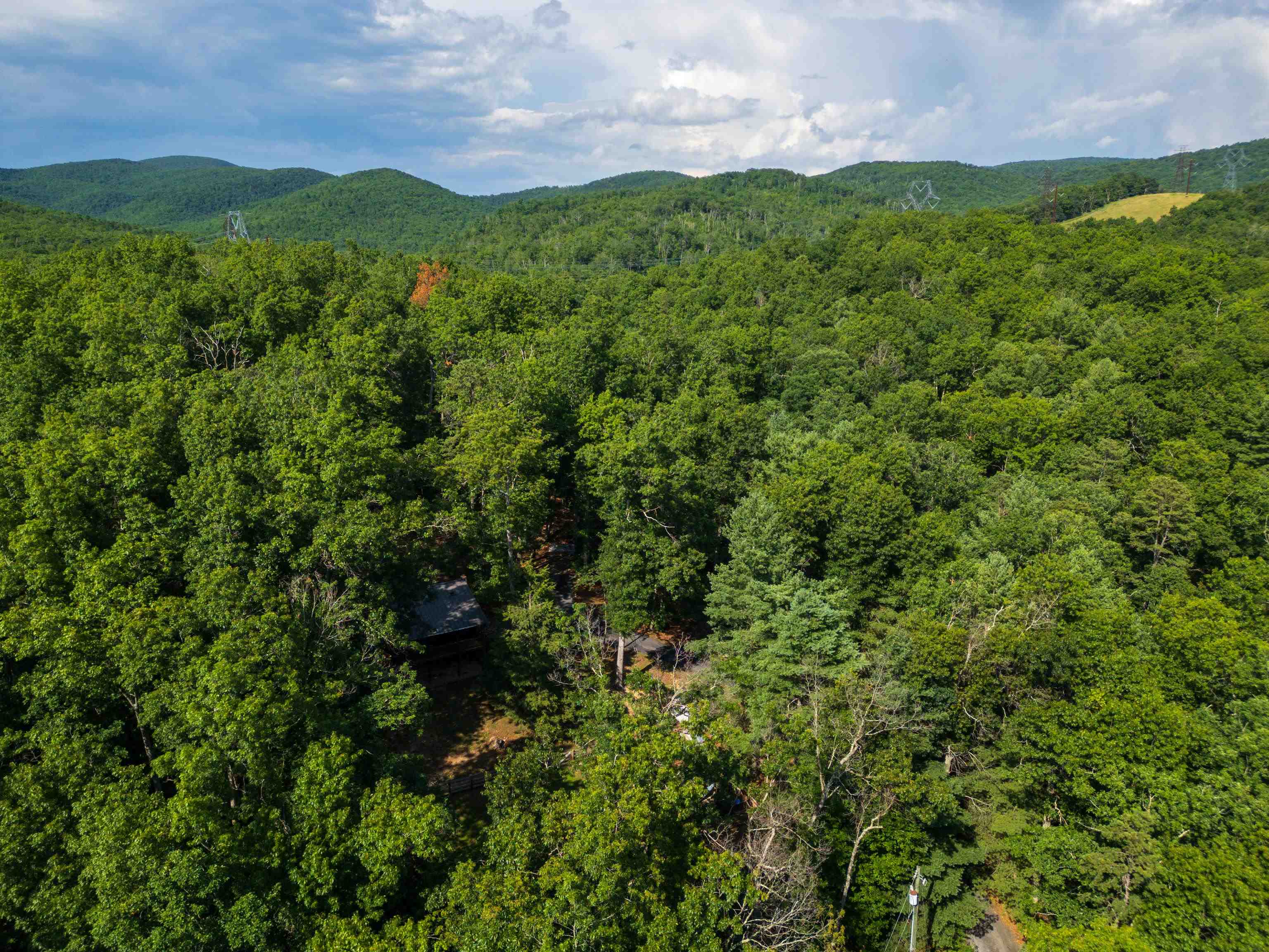 1363 CALF MOUNTAIN RD