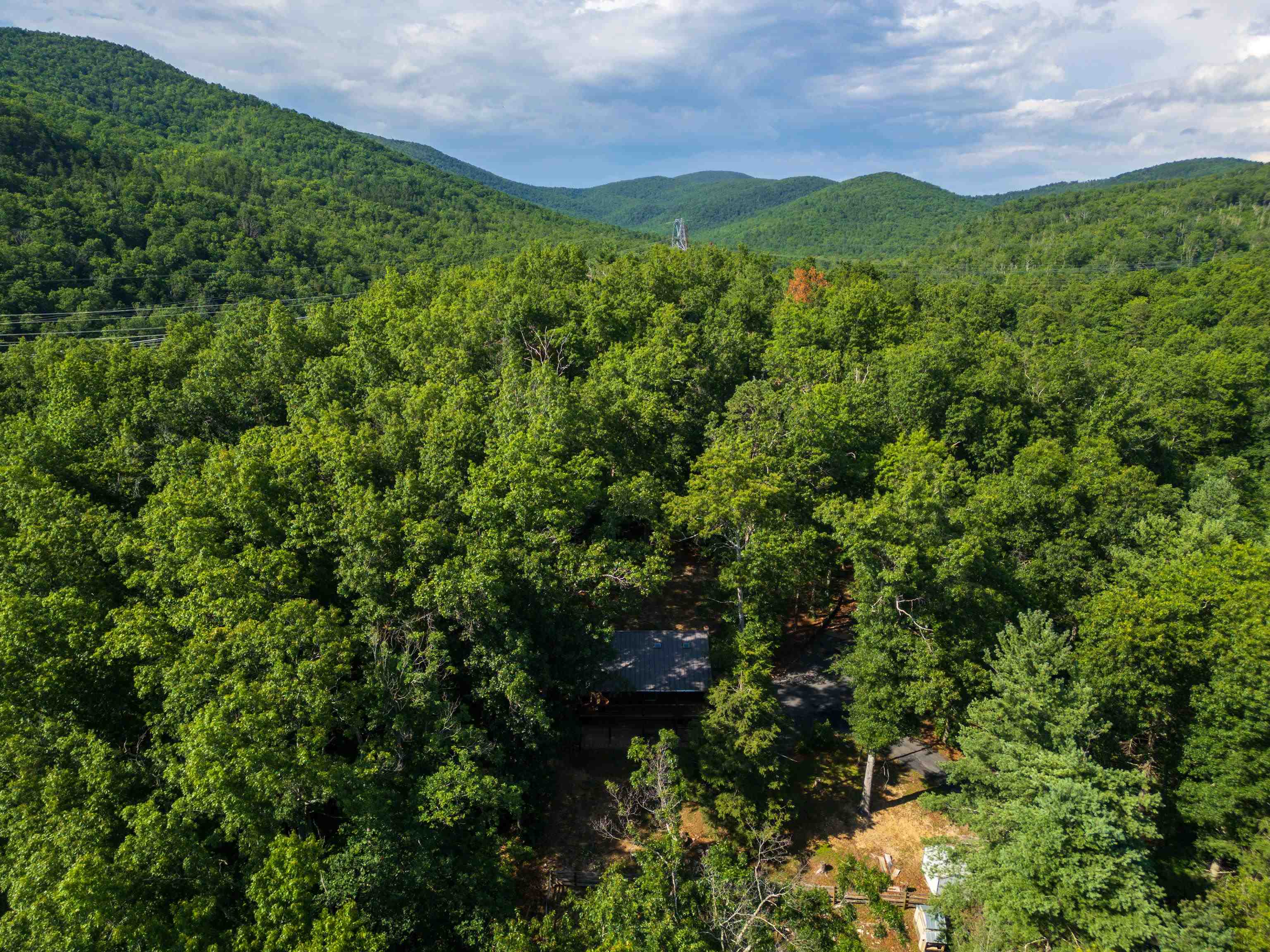 1363 CALF MOUNTAIN RD