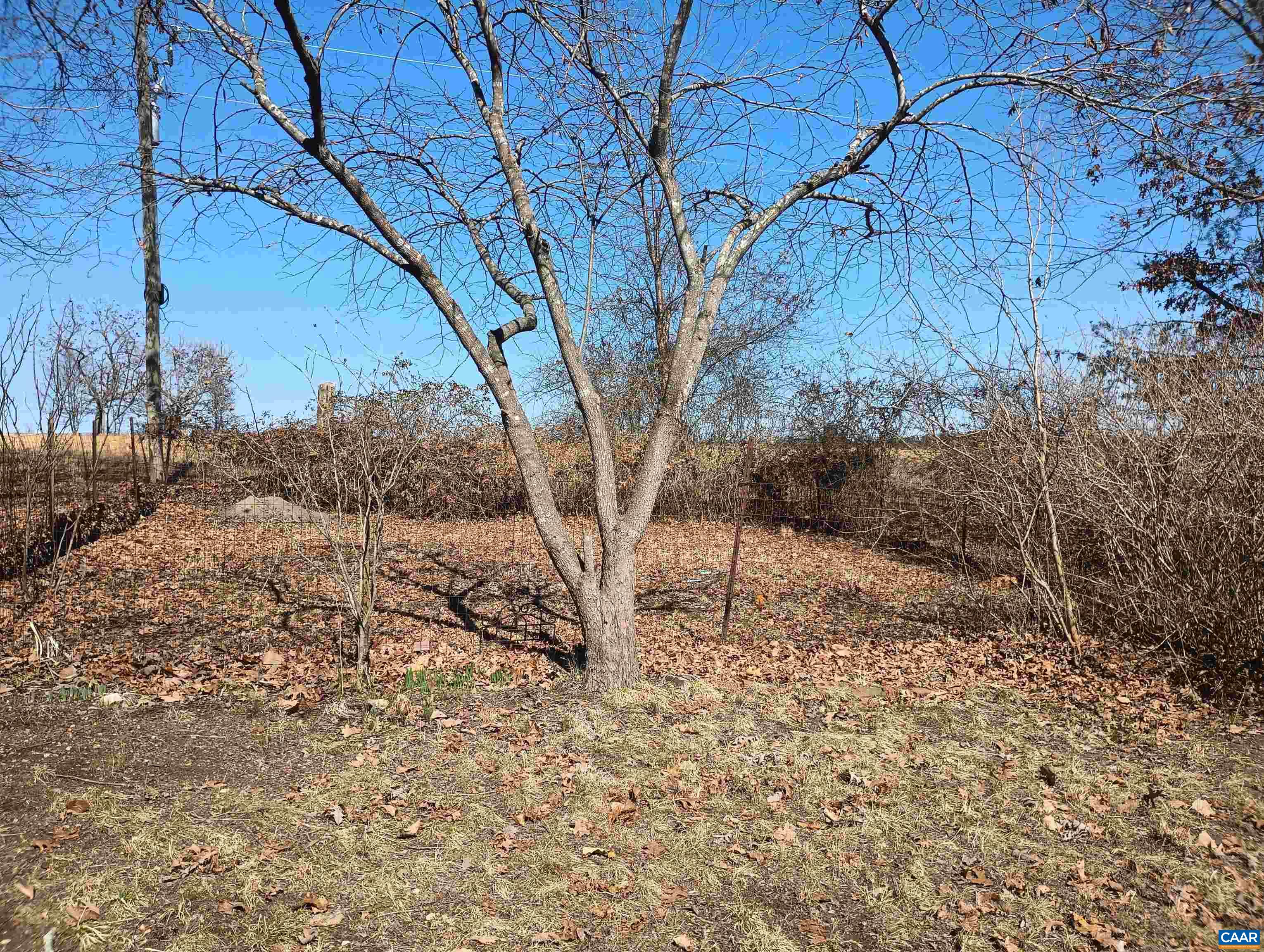 3901 MIDLAND RD