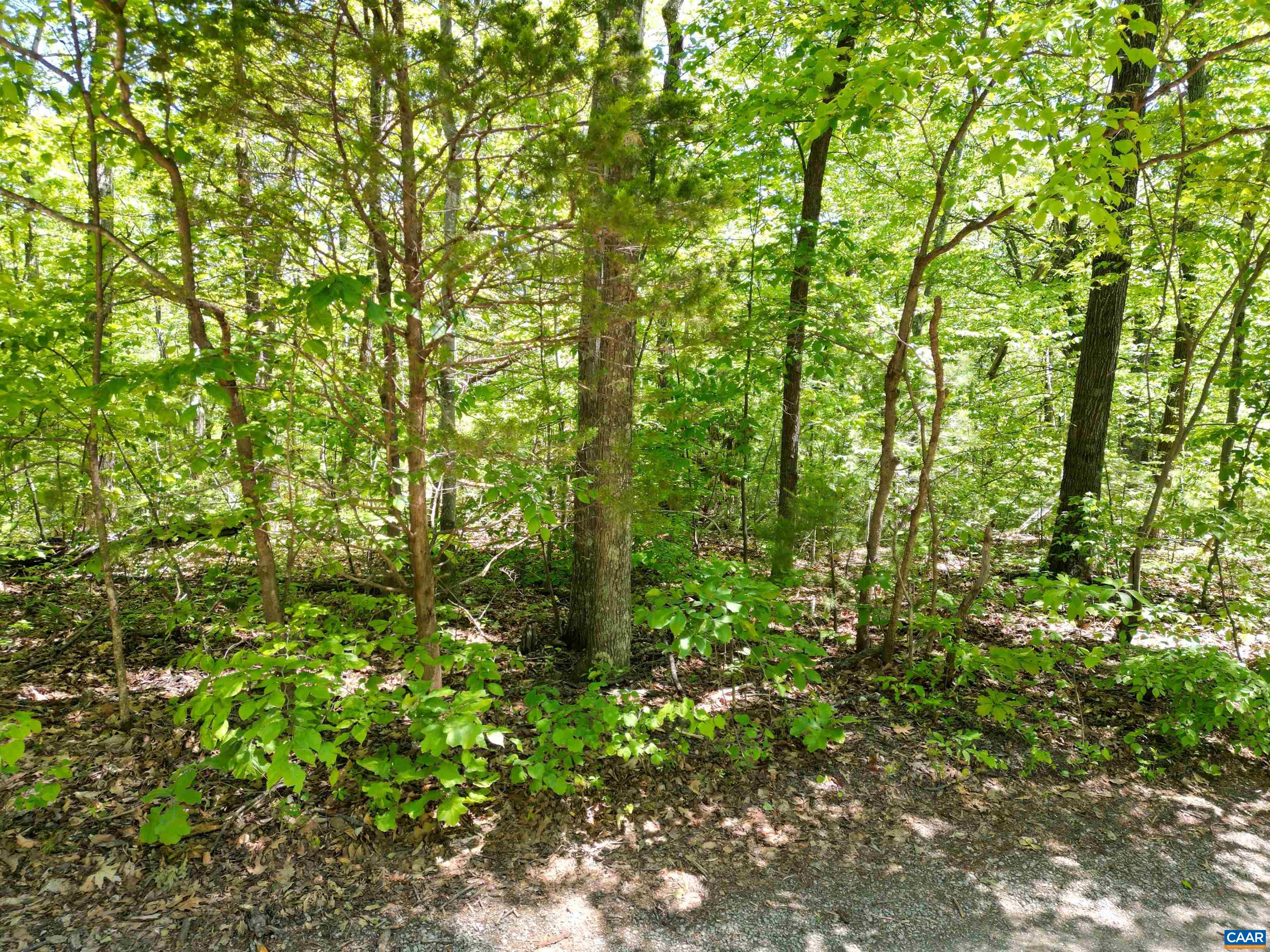 0 PINE HILL DR