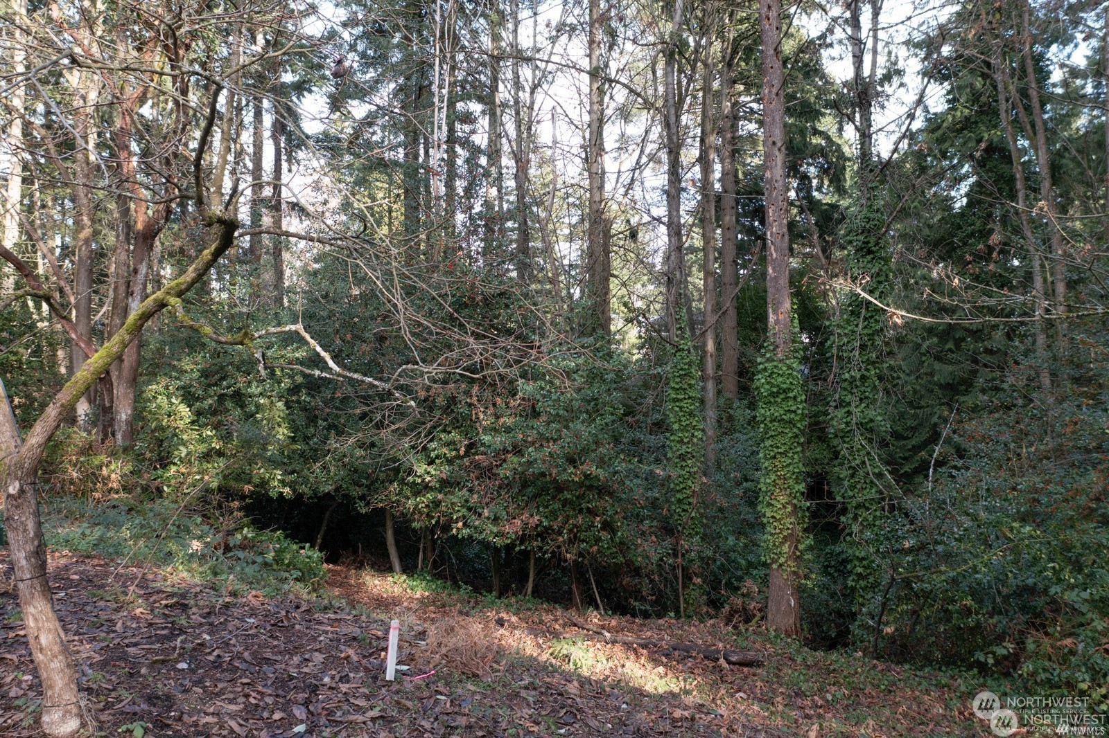 11330 28th Avenue NE