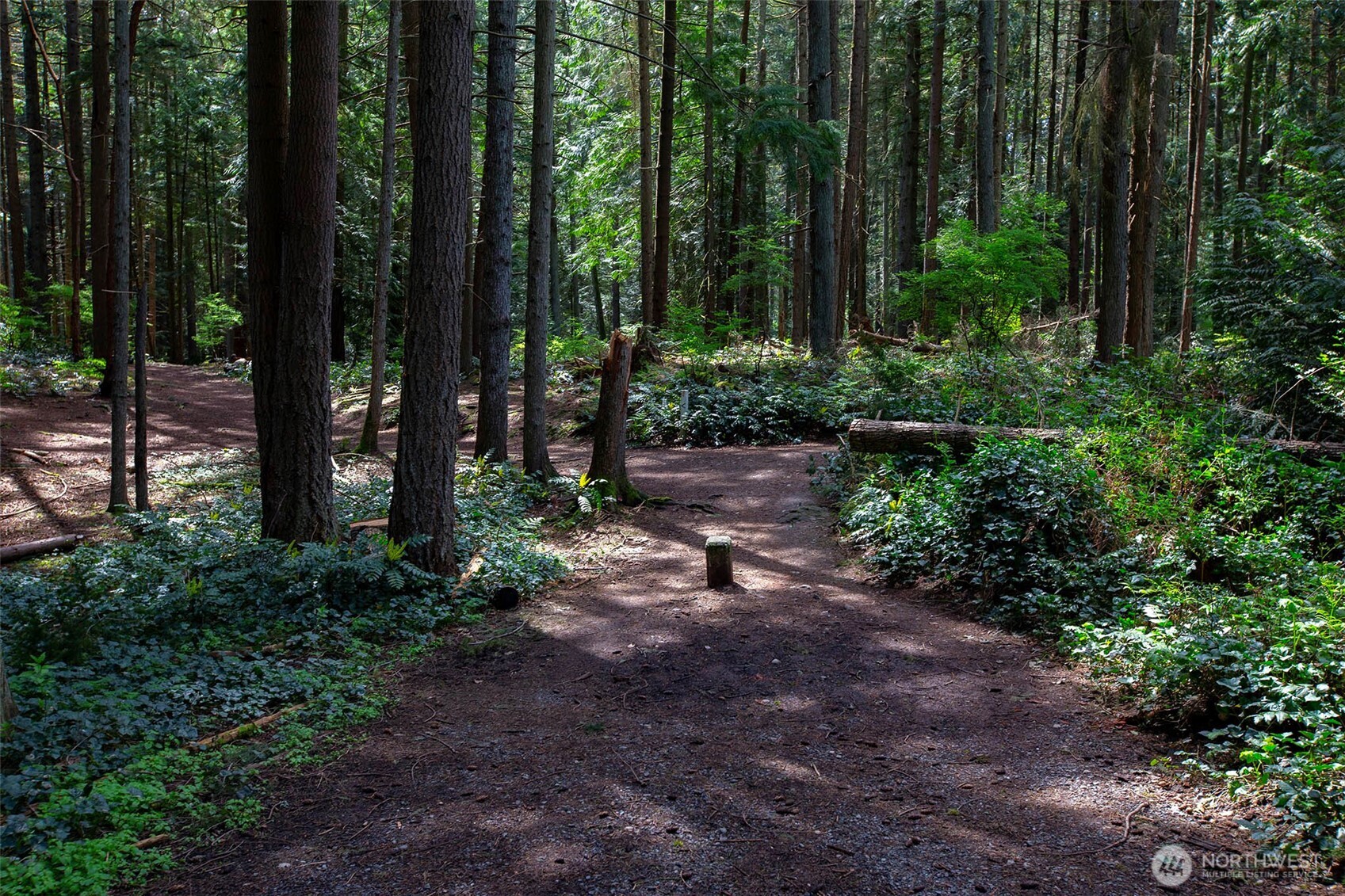 1550 NE 165th Street